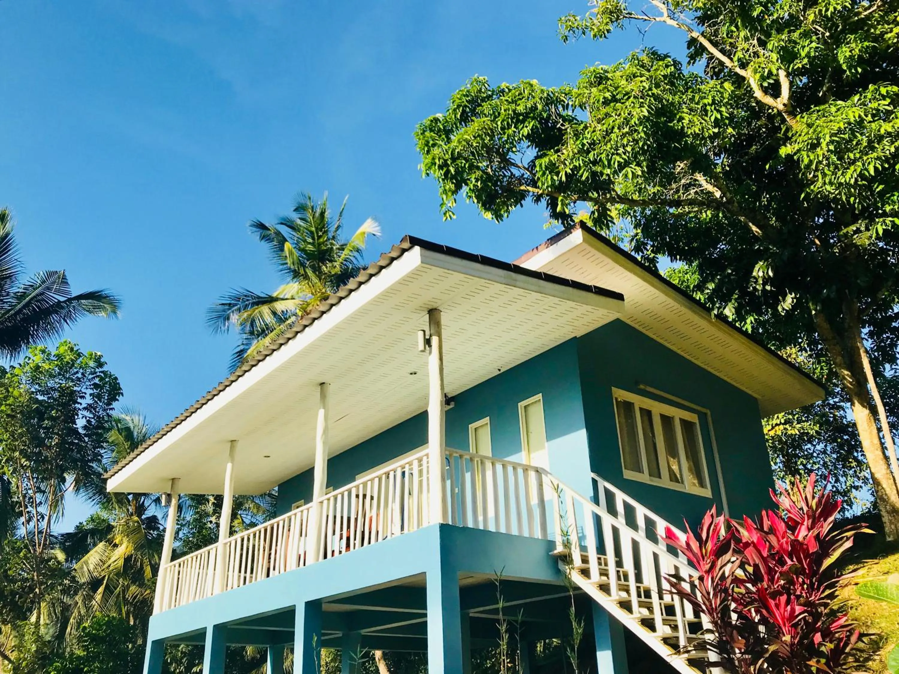 Photo of the whole room in Kiri Tawan