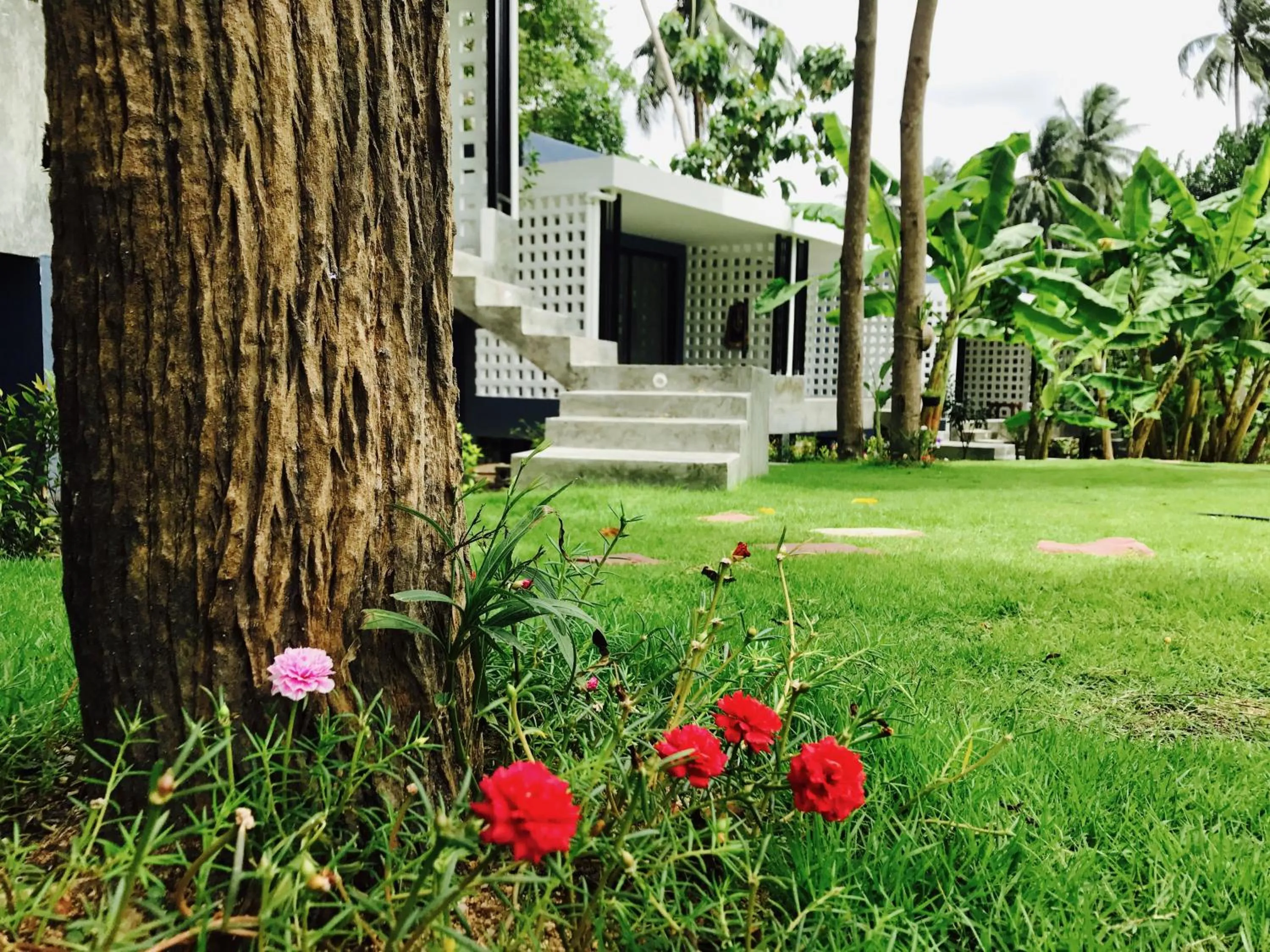 Photo of the whole room in Kiri Tawan