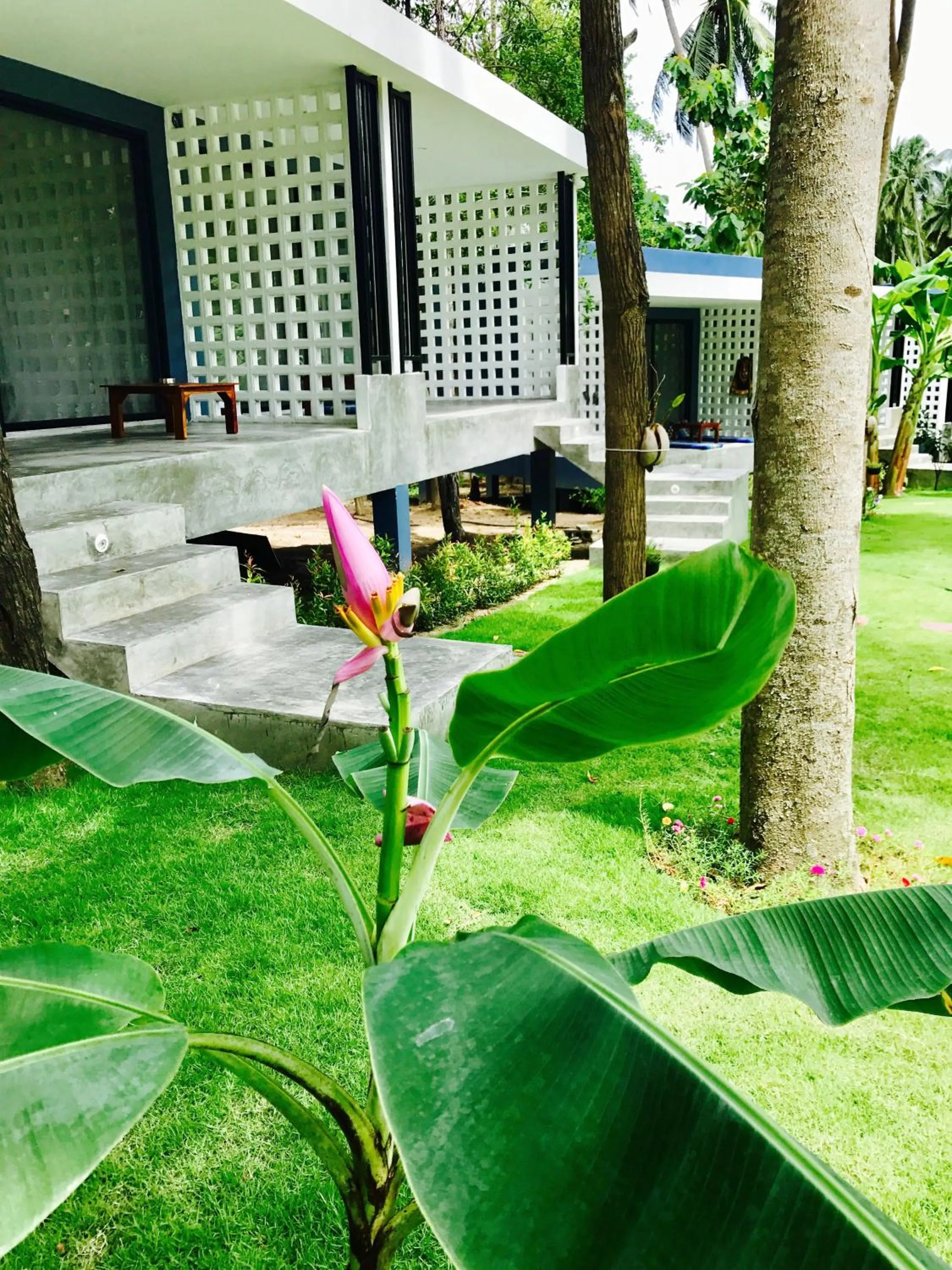 Photo of the whole room in Kiri Tawan