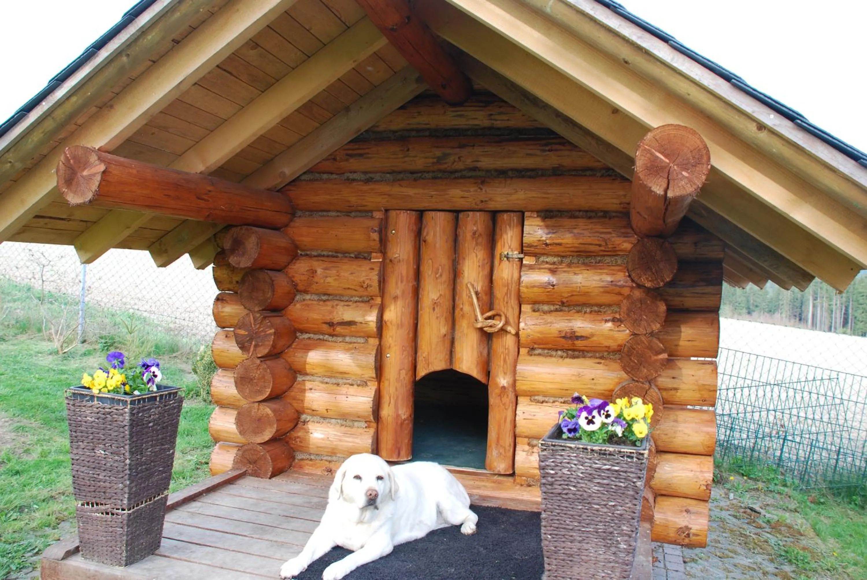 Garden in Hotel Alpenhof