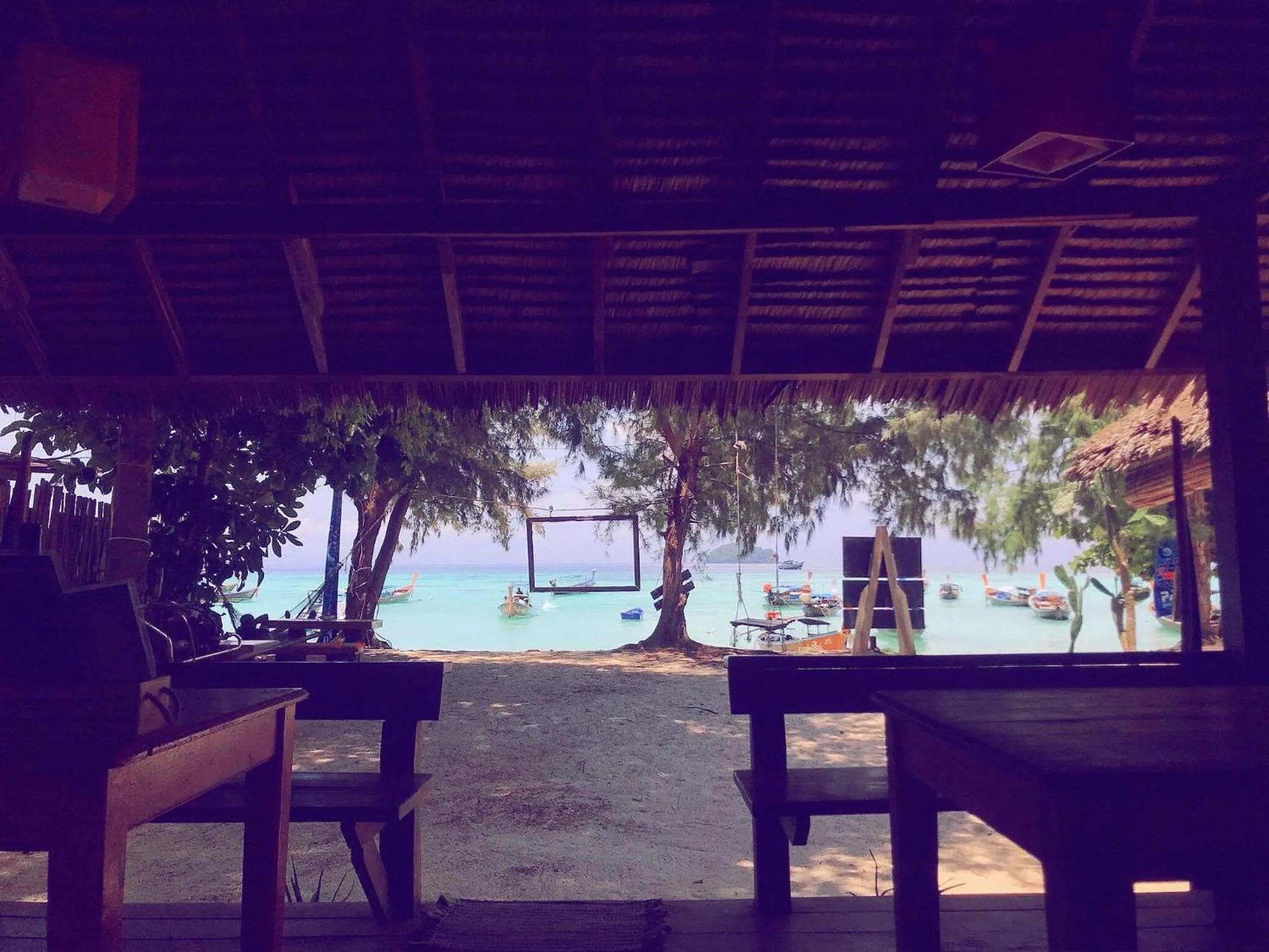 Restaurant/places to eat in Adang Sea Divers & Eco Lodge