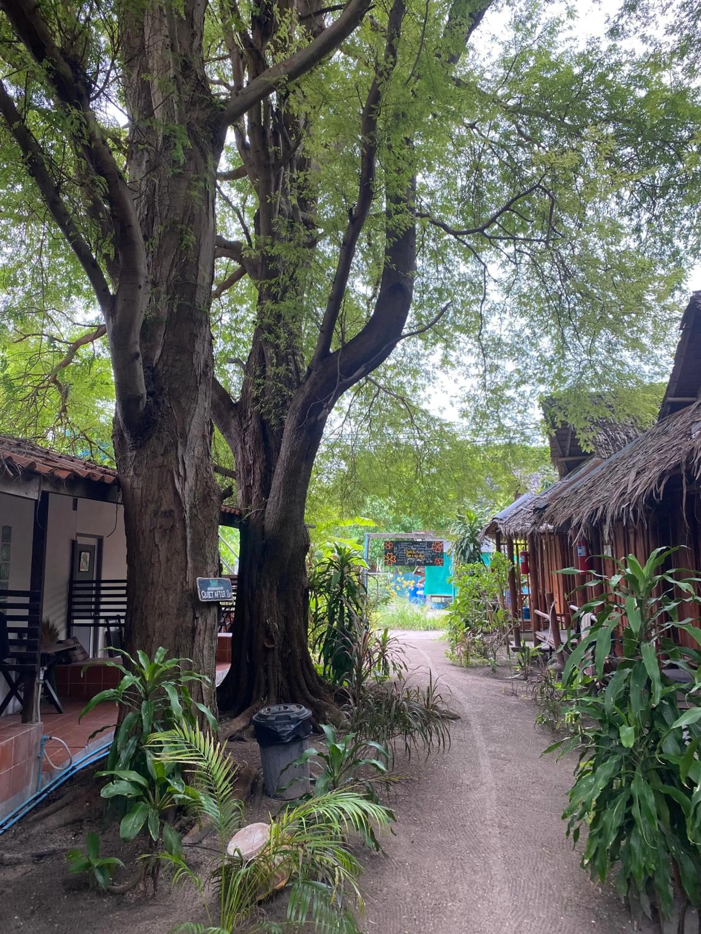 Garden in Adang Sea Divers & Eco Lodge