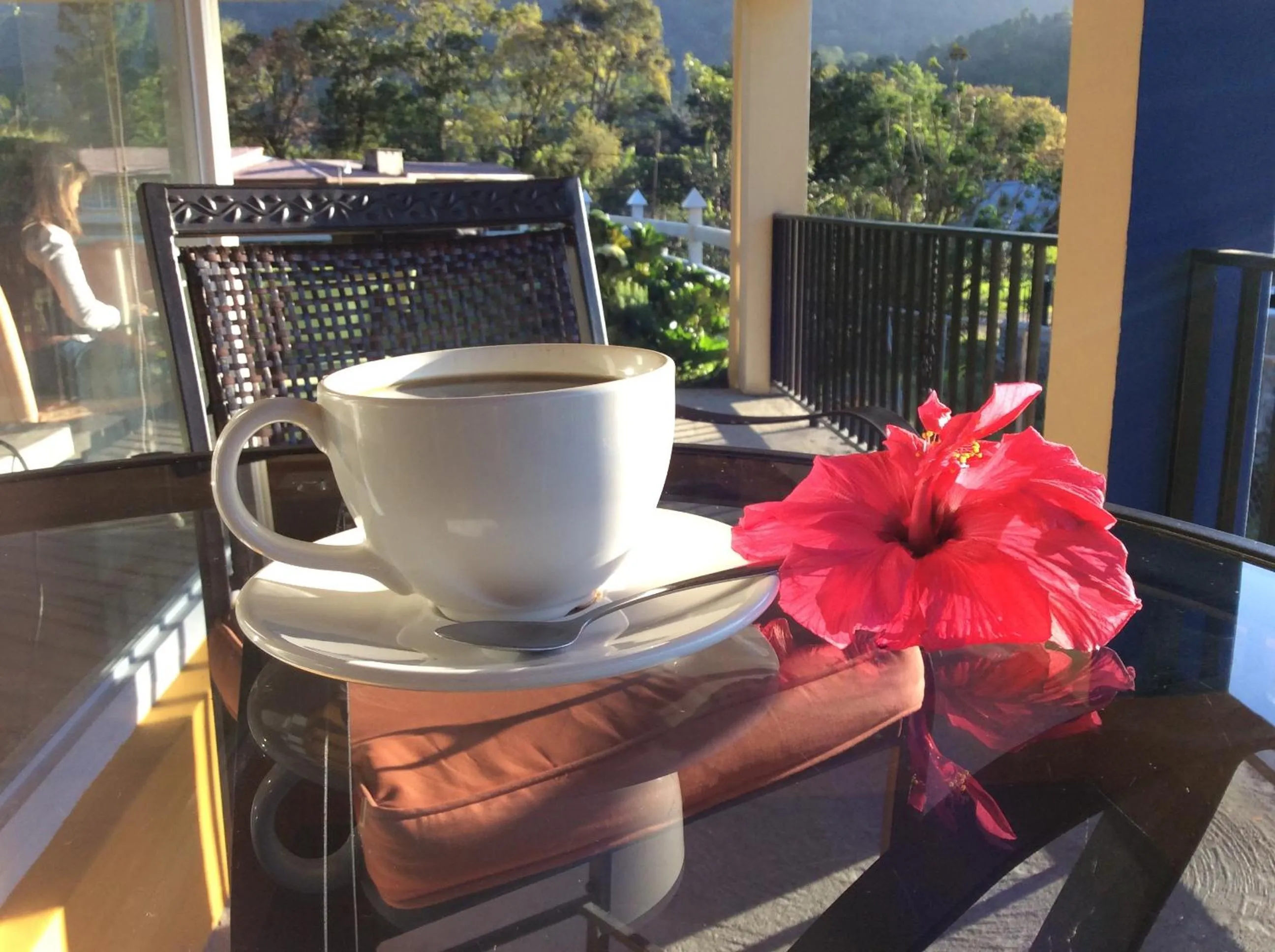 Garden in Hotel Central Boquete