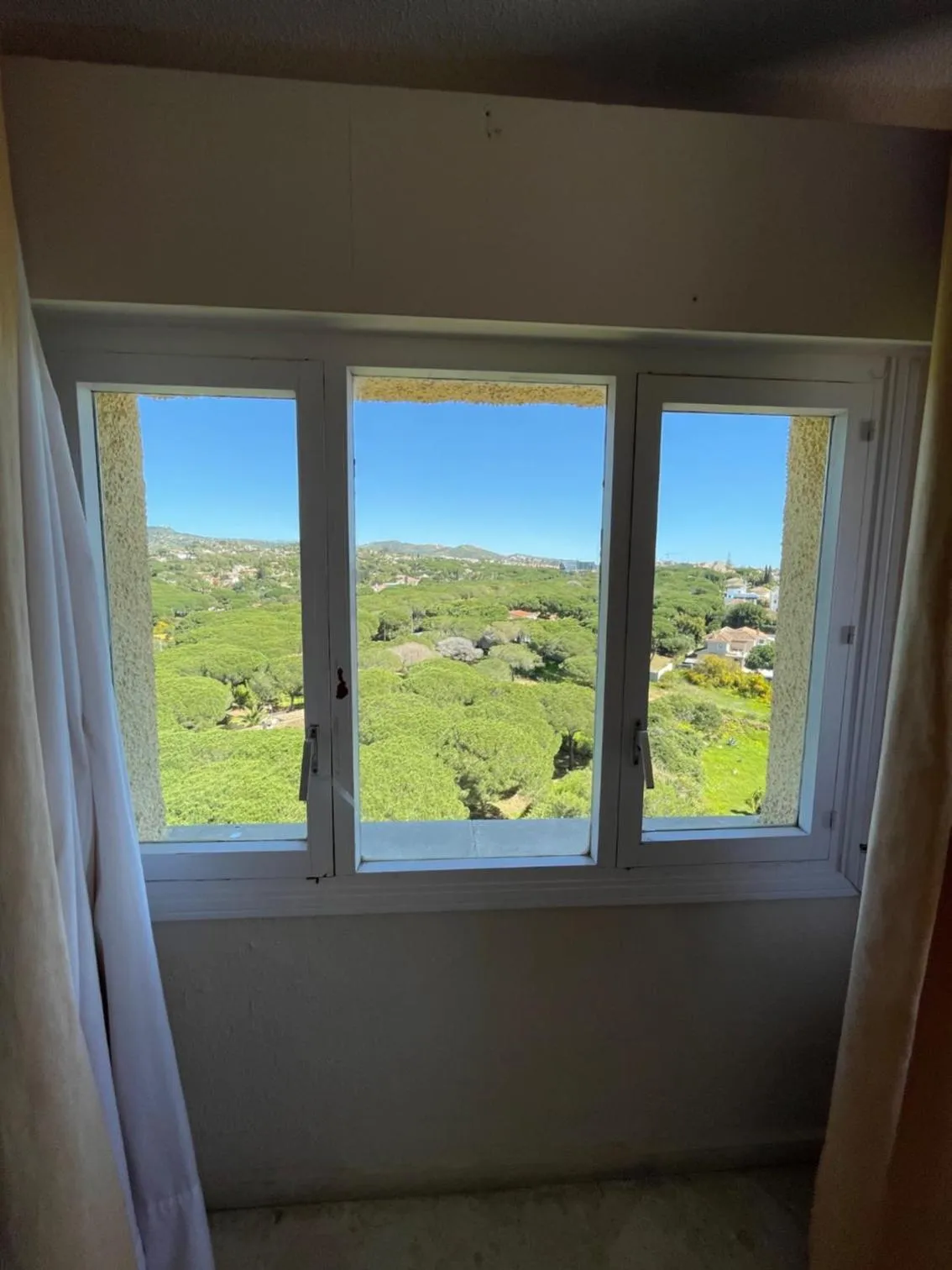 View (from property/room) in Apartamentos Coronado