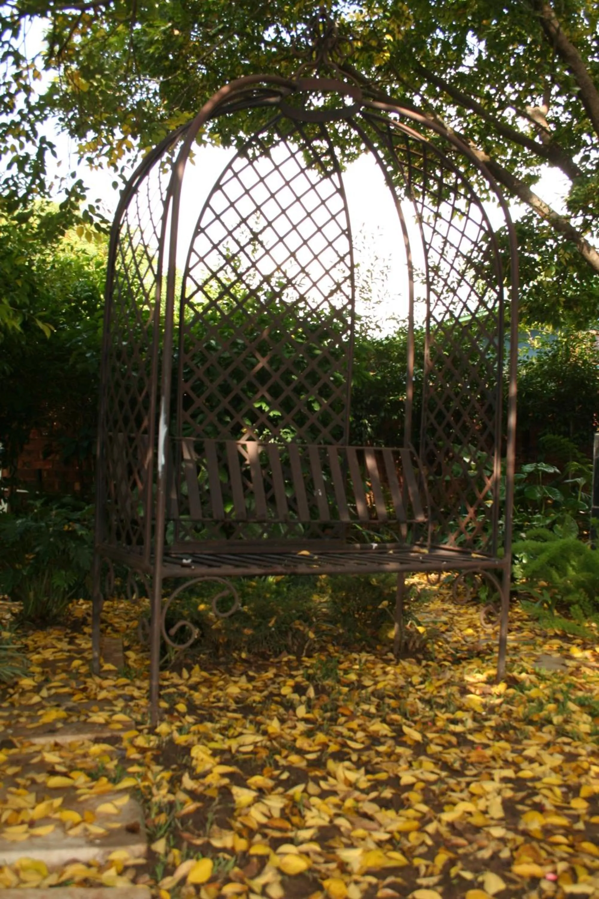 Garden in InnJoy Boutique Hotel