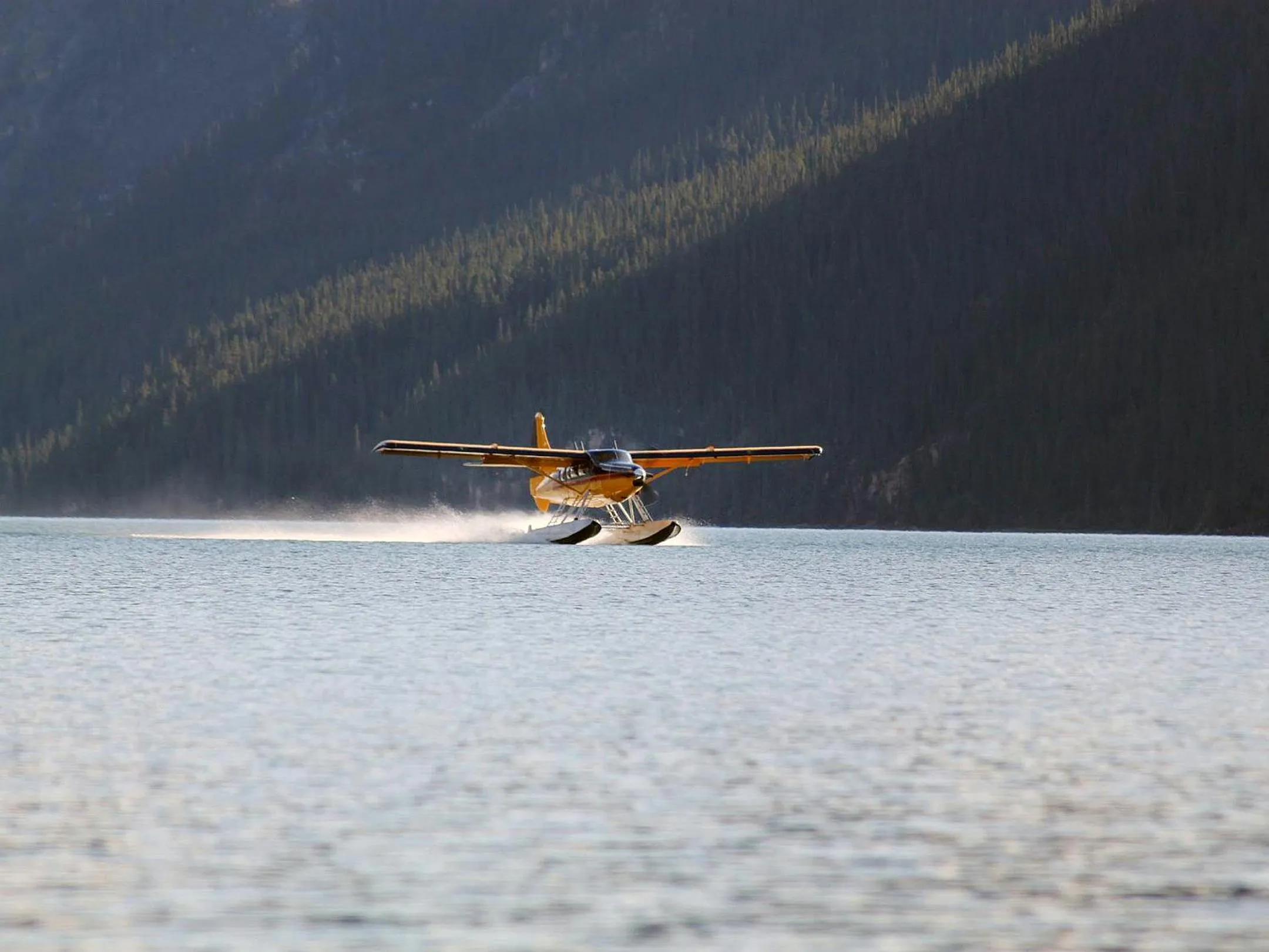 Activities in Northern Rockies Lodge