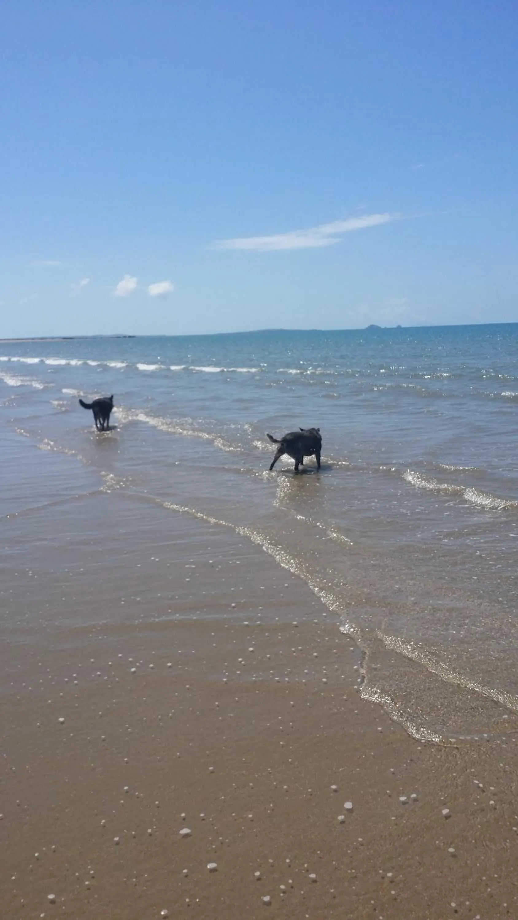 Beach in Country View Motel Ilbilbie