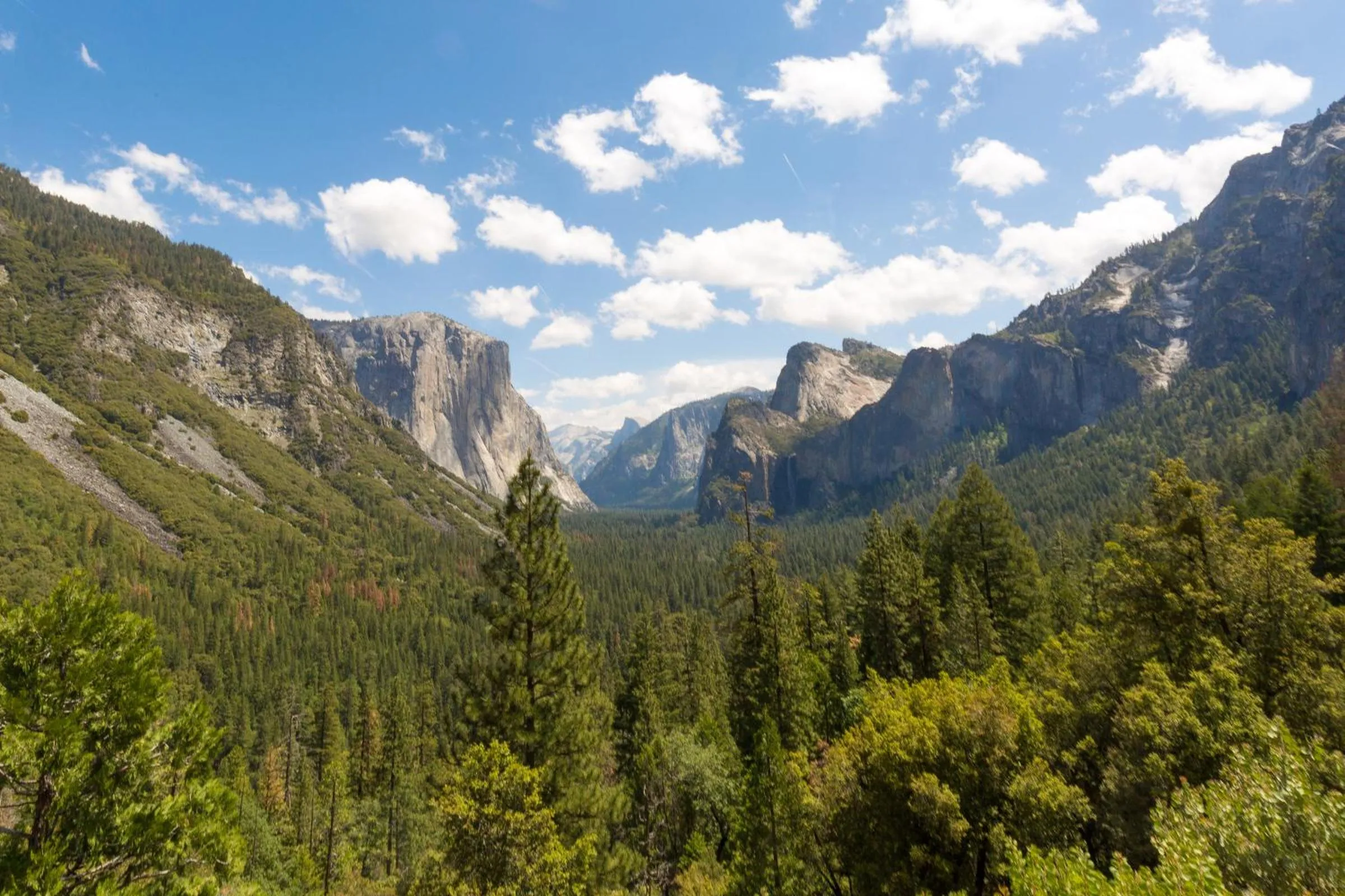 Natural landscape in Rush Creek Lodge at Yosemite