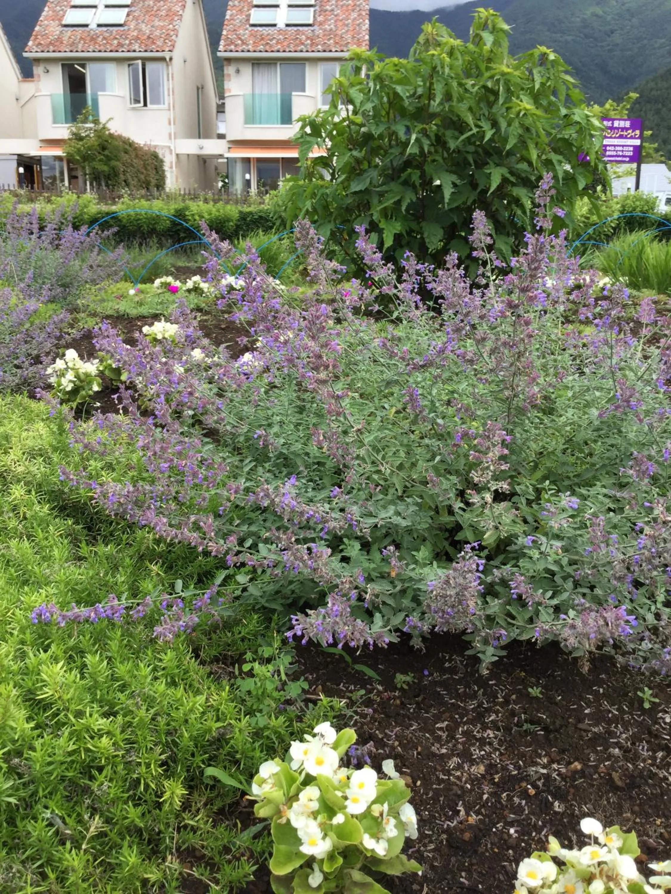 Other in Kawaguchiko Urban Resort Villa