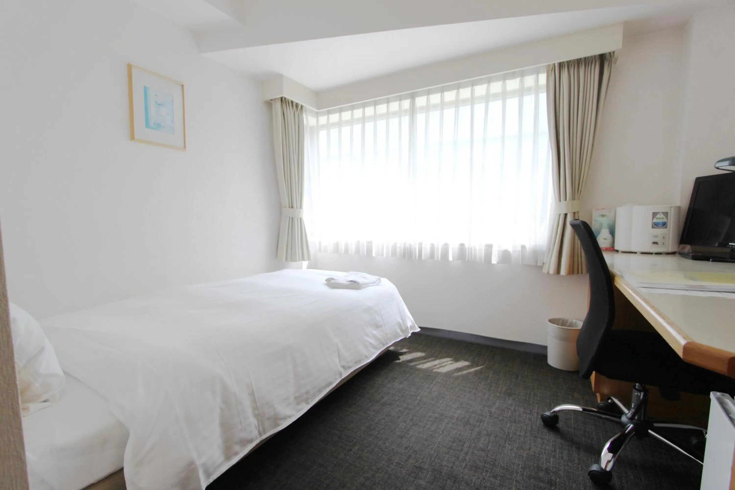 Photo of the whole room in Smile Hotel Tokyo-Tamanagayama