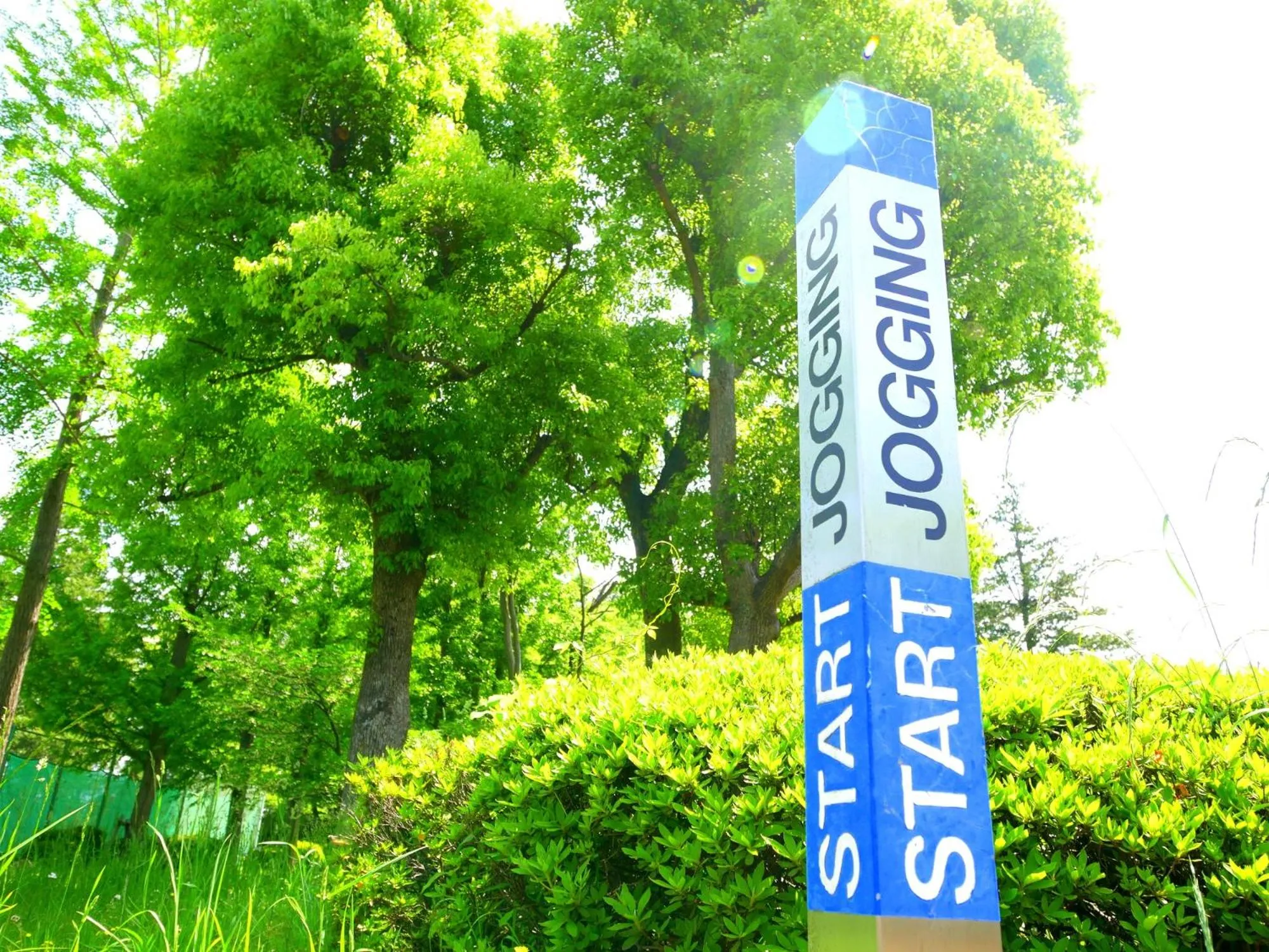 Off site in Smile Hotel Tokyo-Tamanagayama