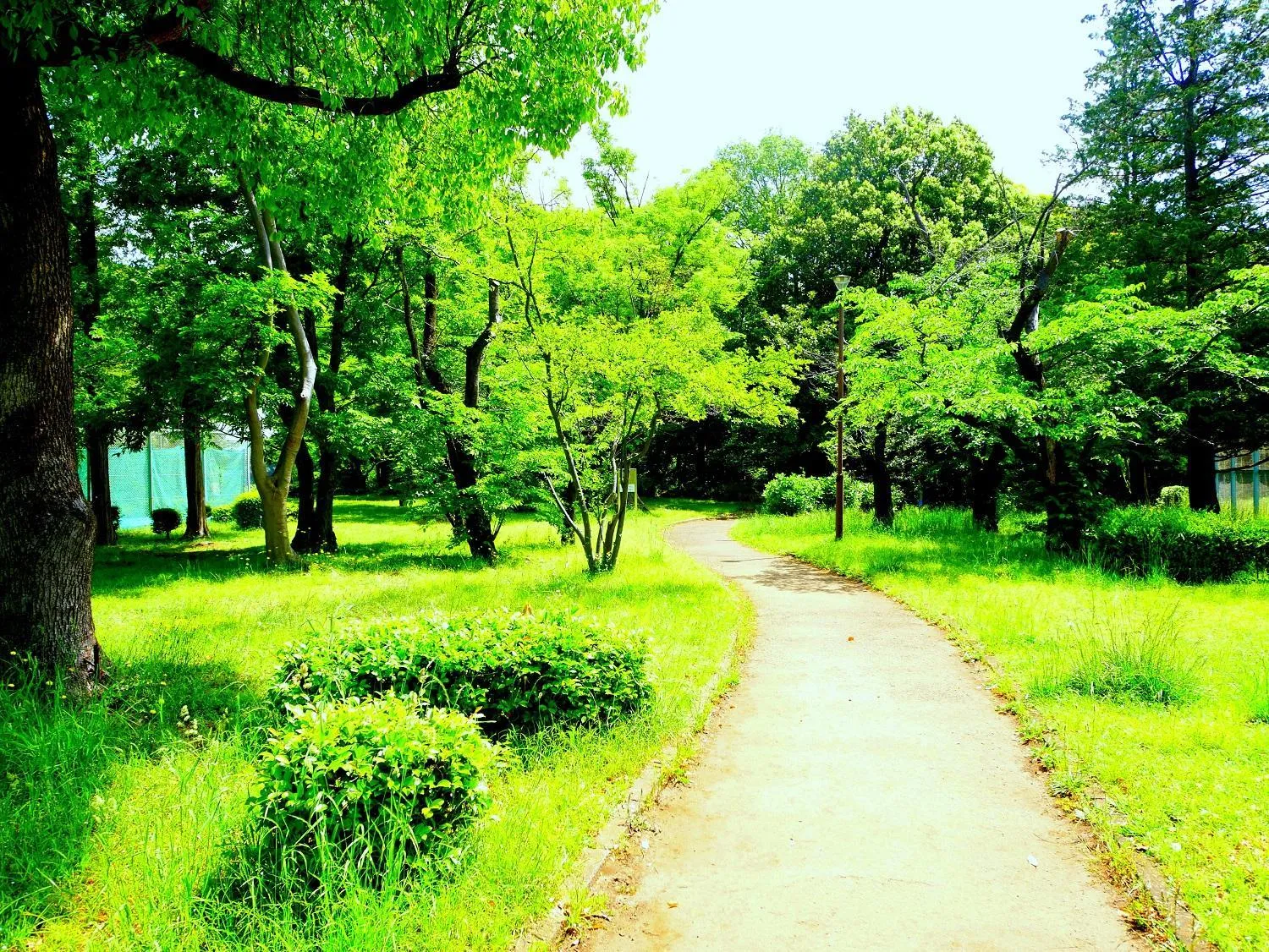 Off site in Smile Hotel Tokyo-Tamanagayama