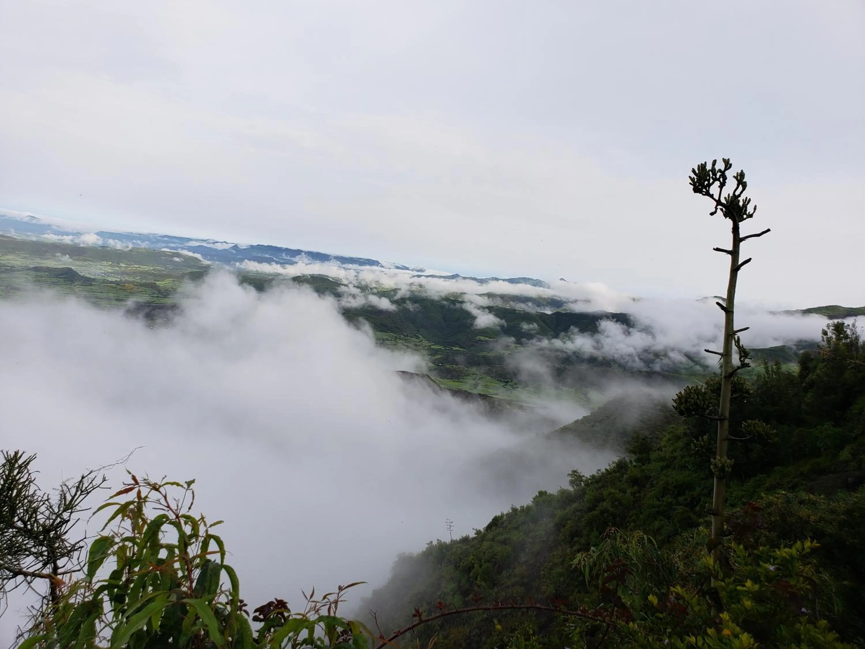 Spring in Top Twelve Hotel - Lalibela