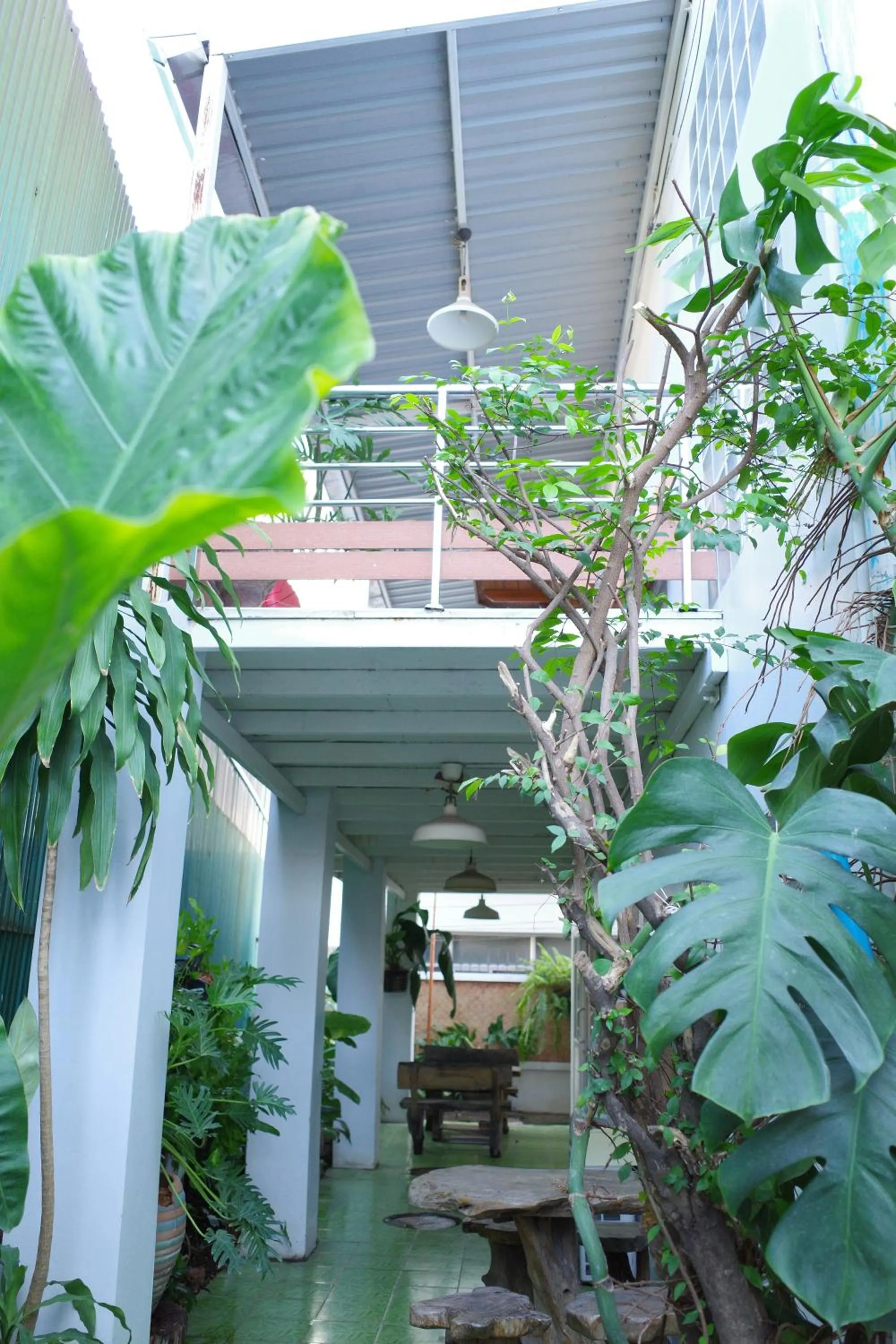 Garden in Your Home AYUTTHAYA