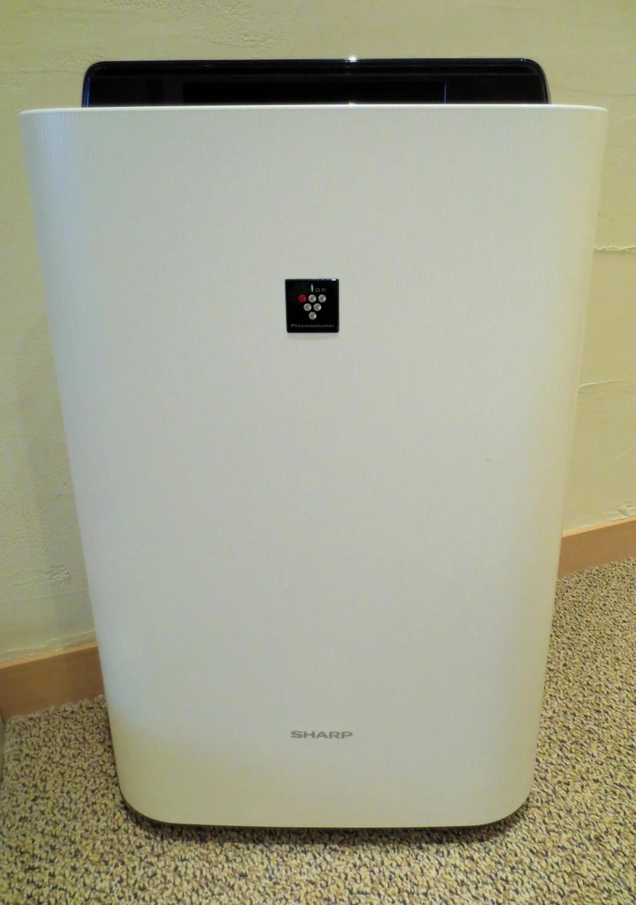 Photo of the whole room in Design Hotel W Zip Club