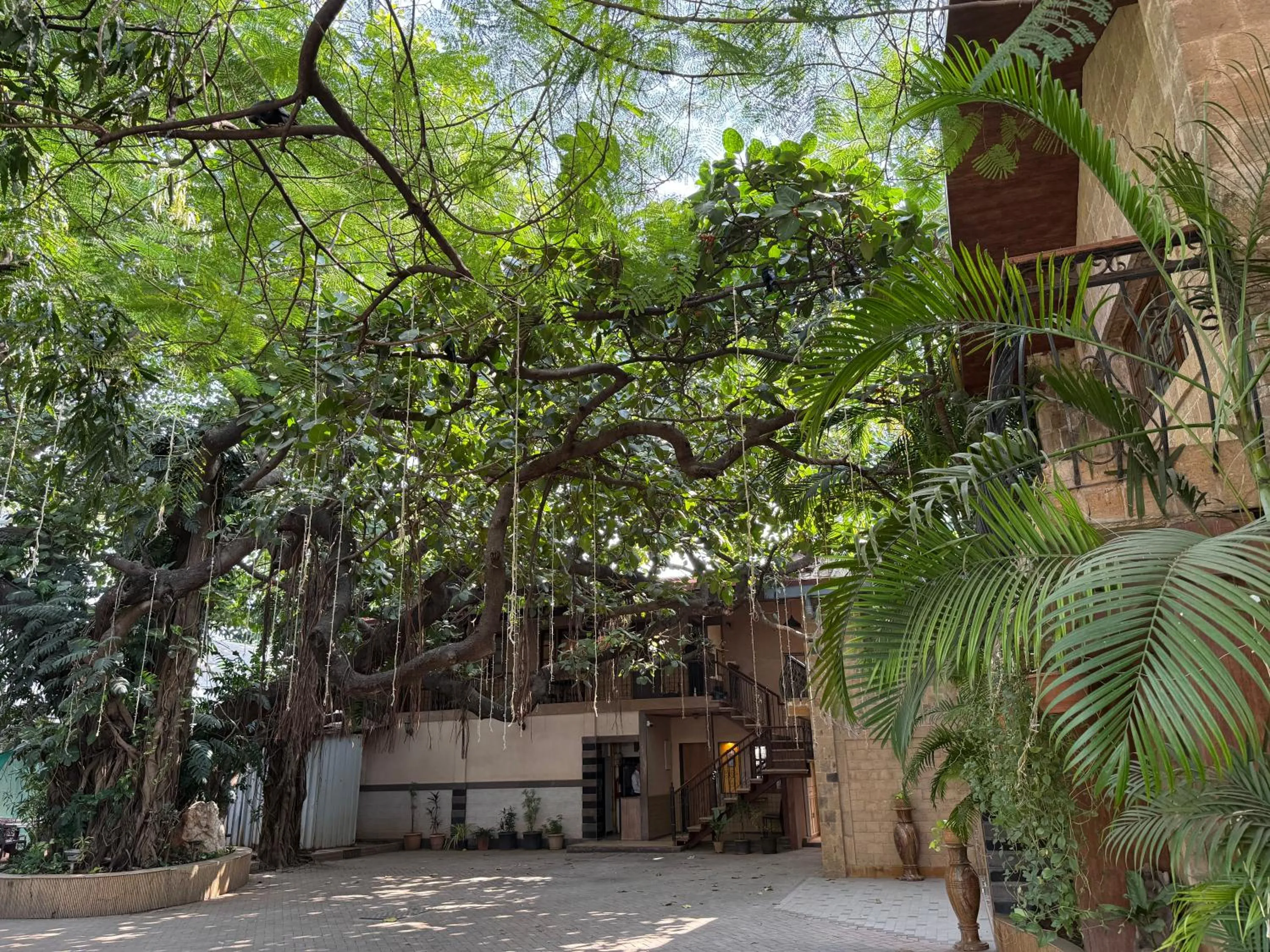 Property building in Hotel Beach Garden