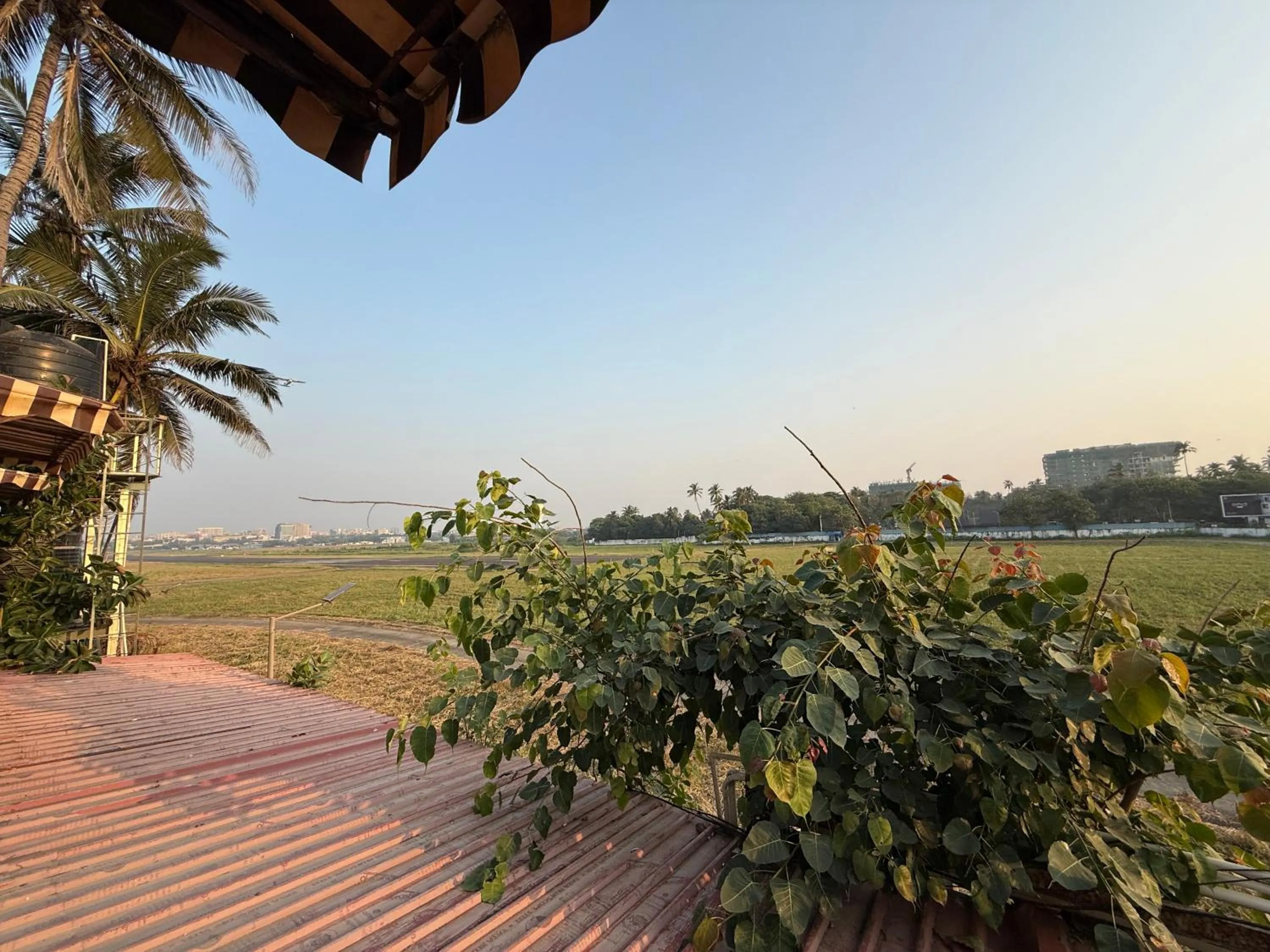 Natural landscape in Hotel Beach Garden