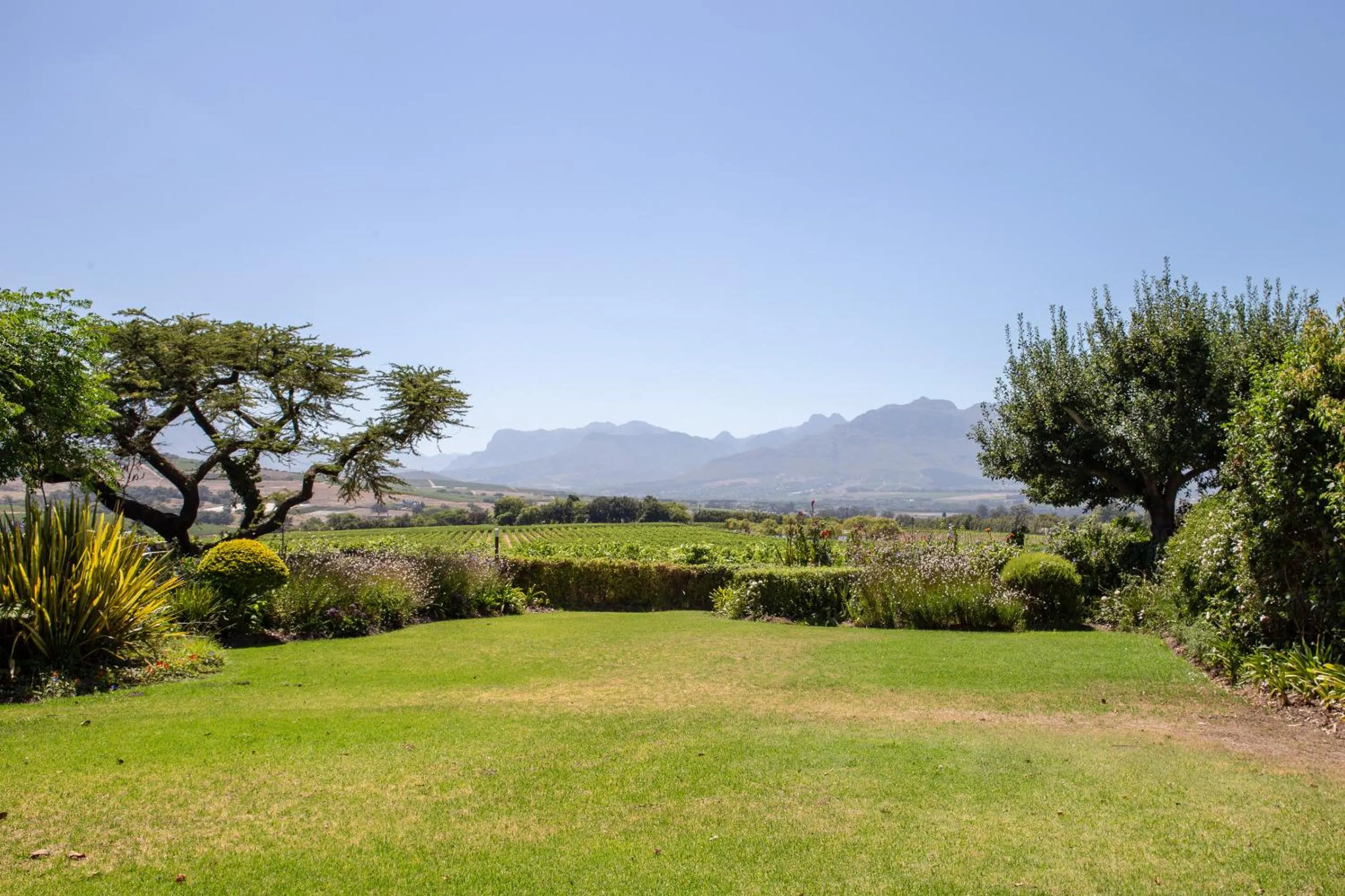 Natural landscape in Wedgeview Country House & Spa