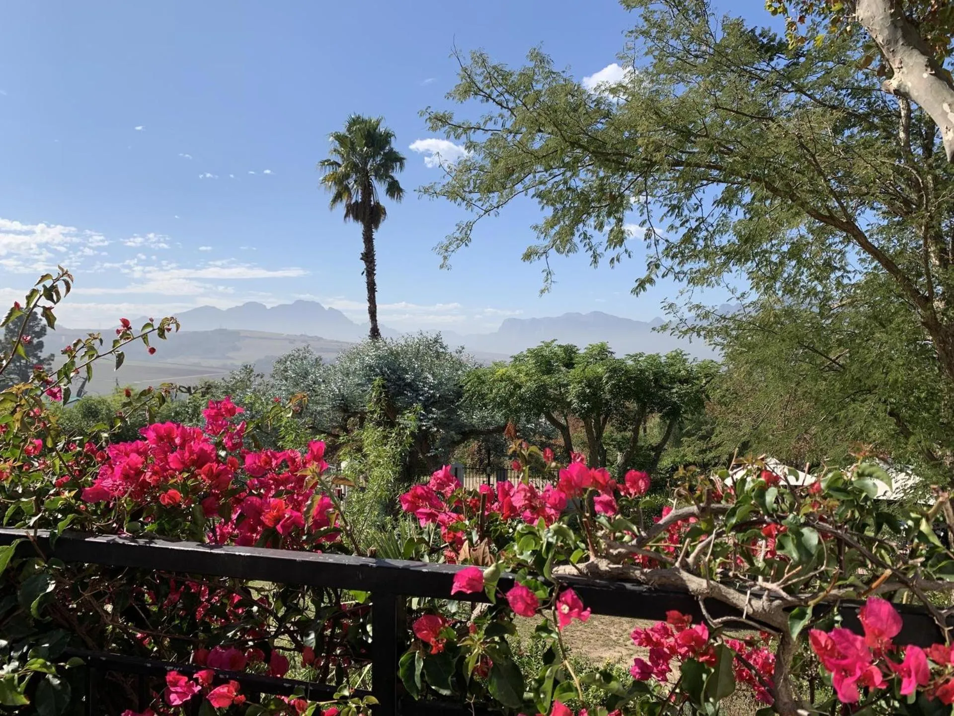 Balcony/Terrace in Wedgeview Country House & Spa
