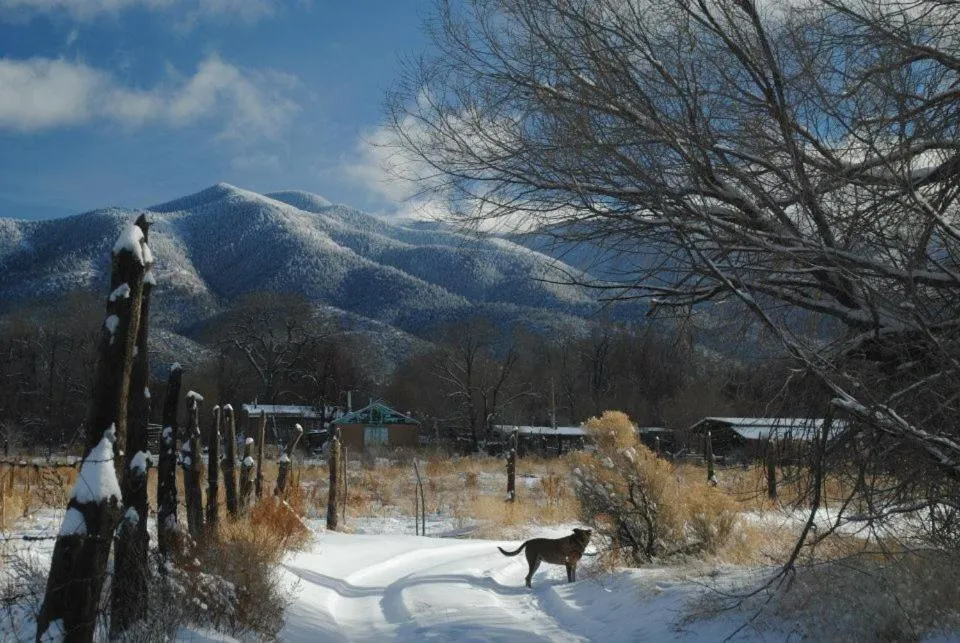 Winter in Taos Goji Farm & Eco-Lodge Retreat