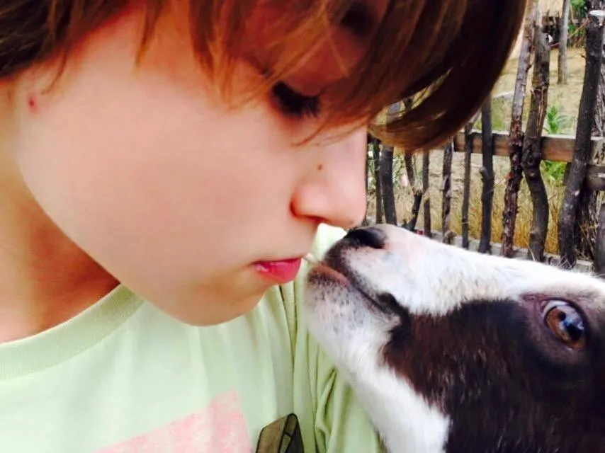 Animals in Taos Goji Farm & Eco-Lodge Retreat