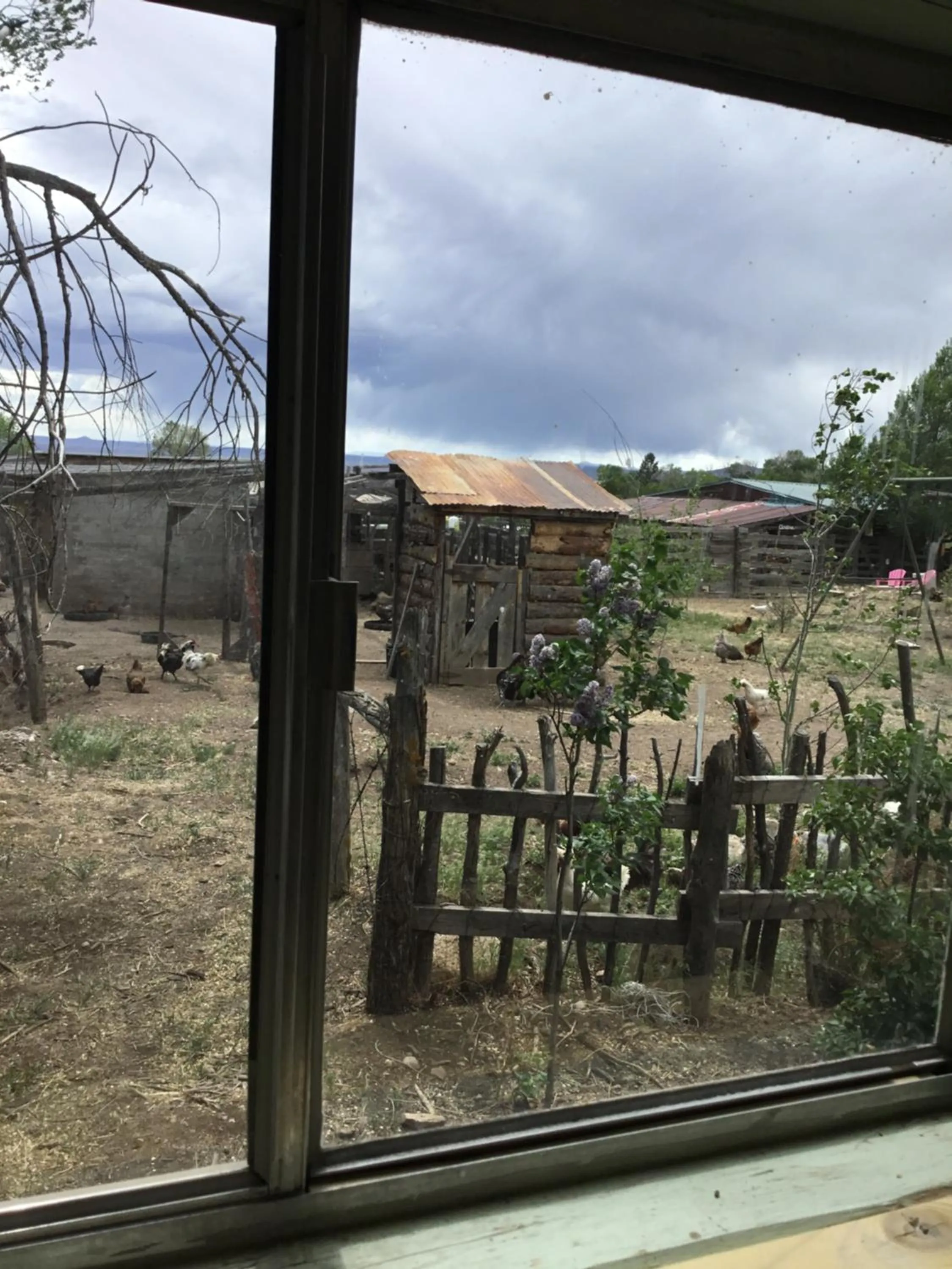 Taos Goji Farm & Eco-Lodge Retreat