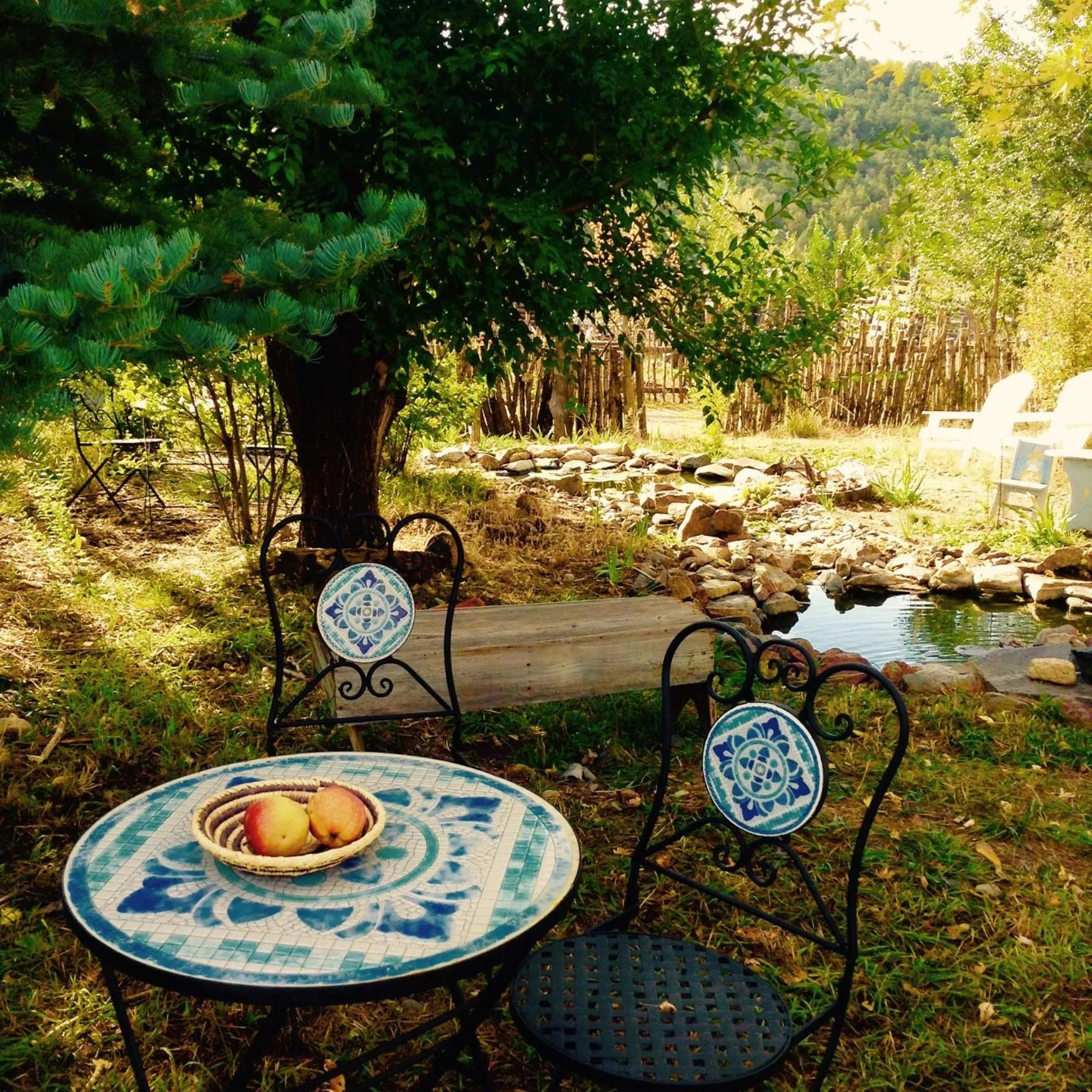 Day in Taos Goji Farm & Eco-Lodge Retreat