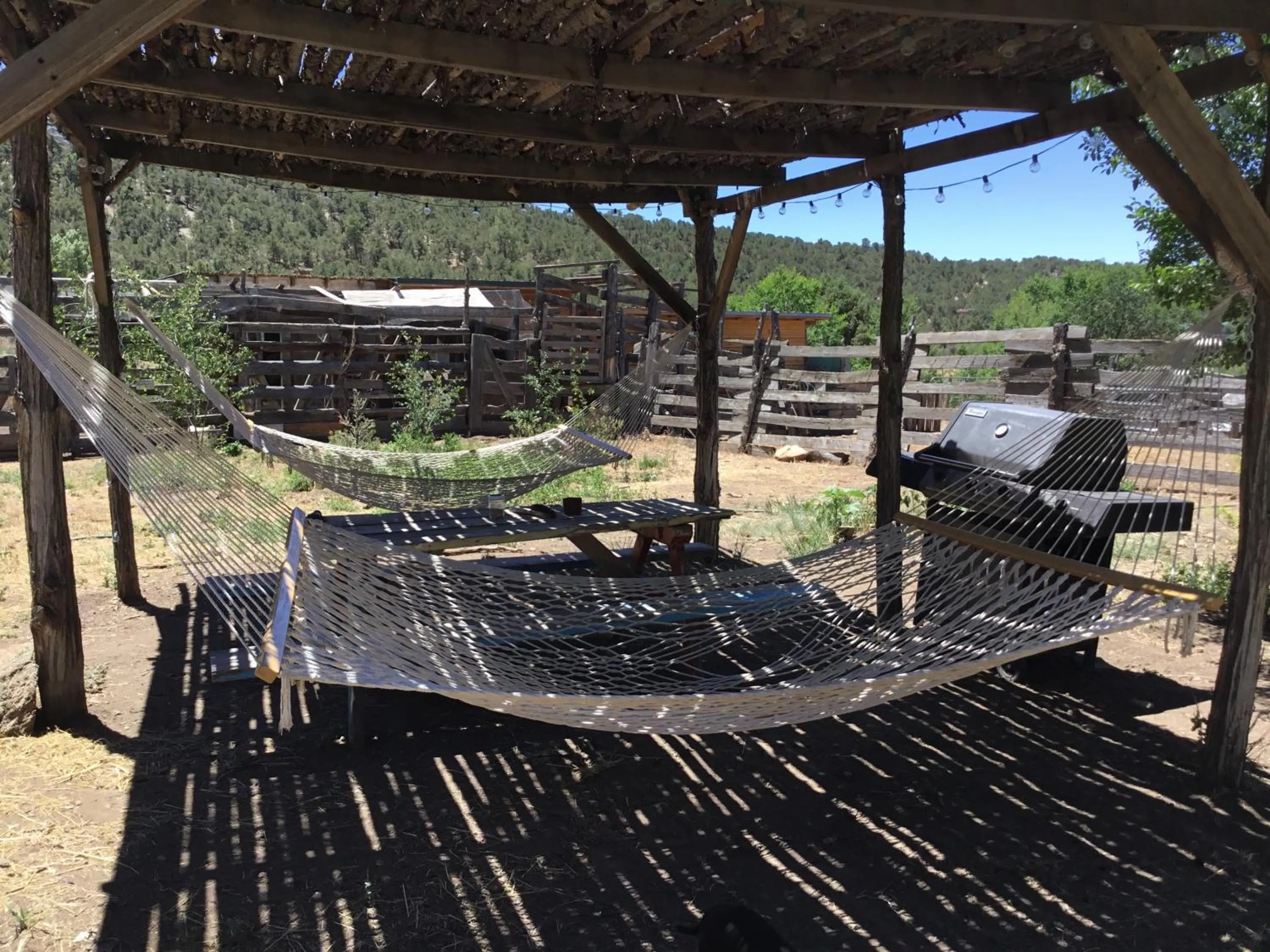 Taos Goji Farm & Eco-Lodge Retreat