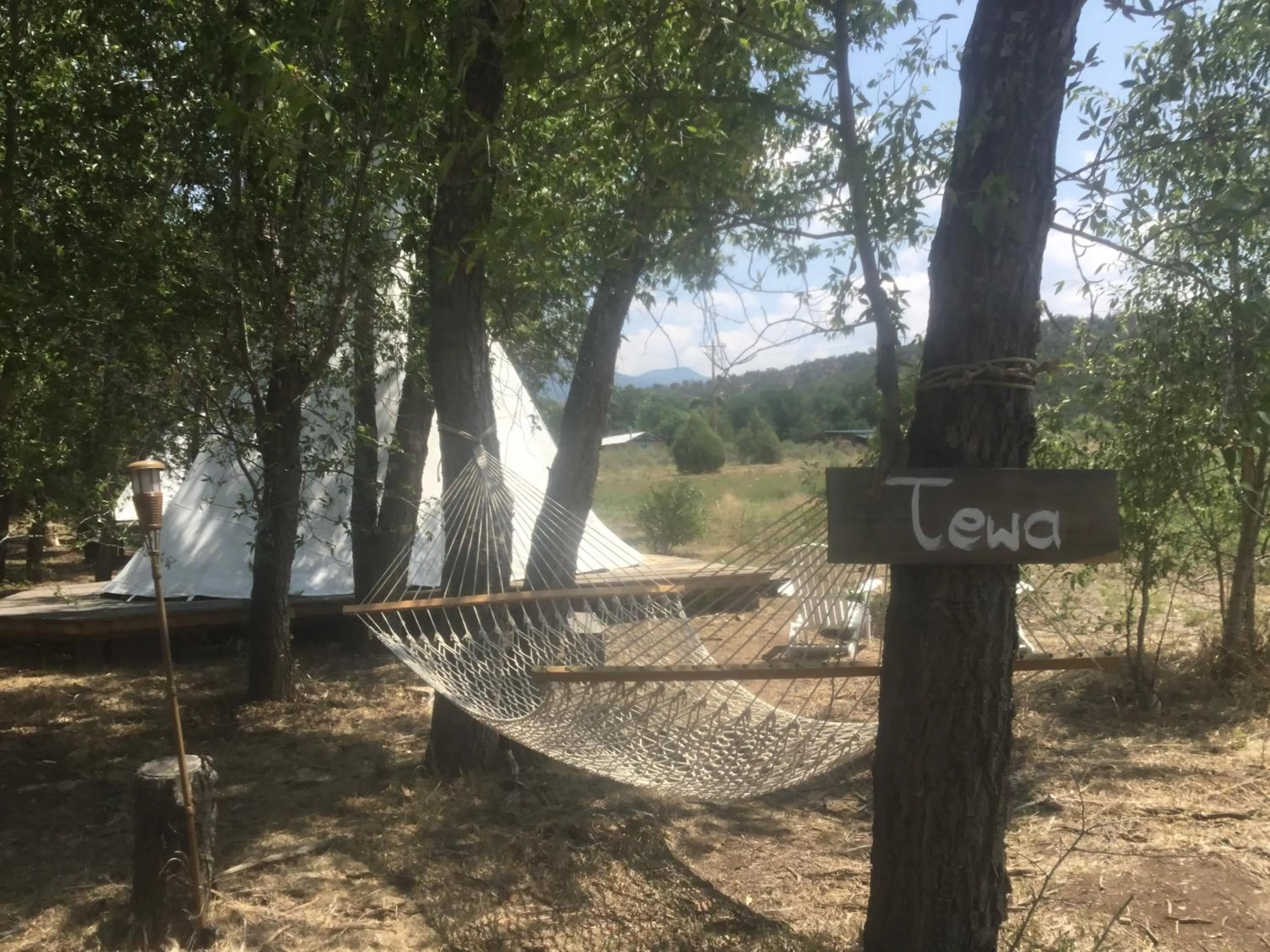 Taos Goji Farm & Eco-Lodge Retreat