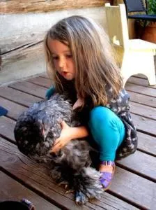 Animals in Taos Goji Farm & Eco-Lodge Retreat