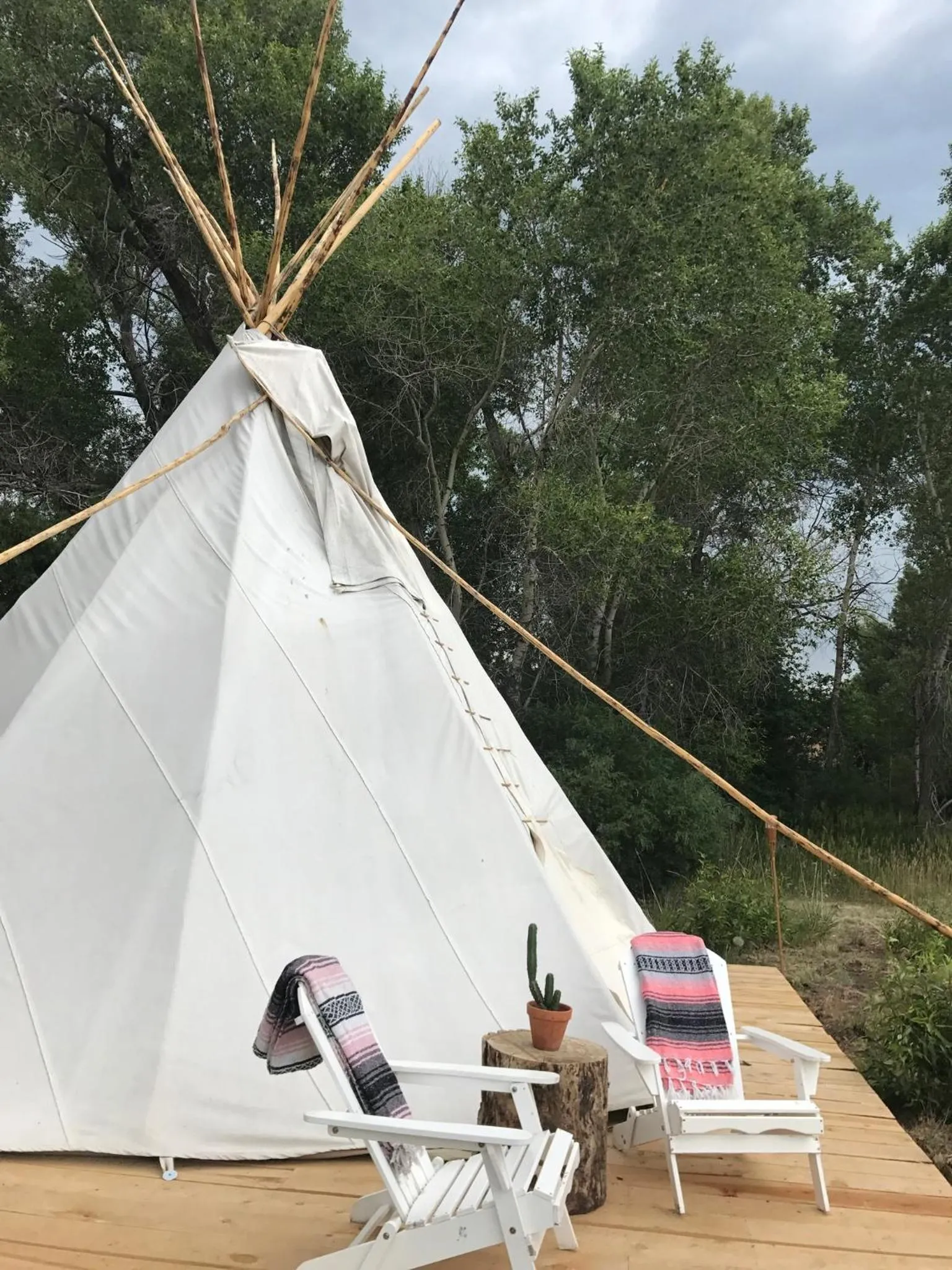 Taos Goji Farm & Eco-Lodge Retreat