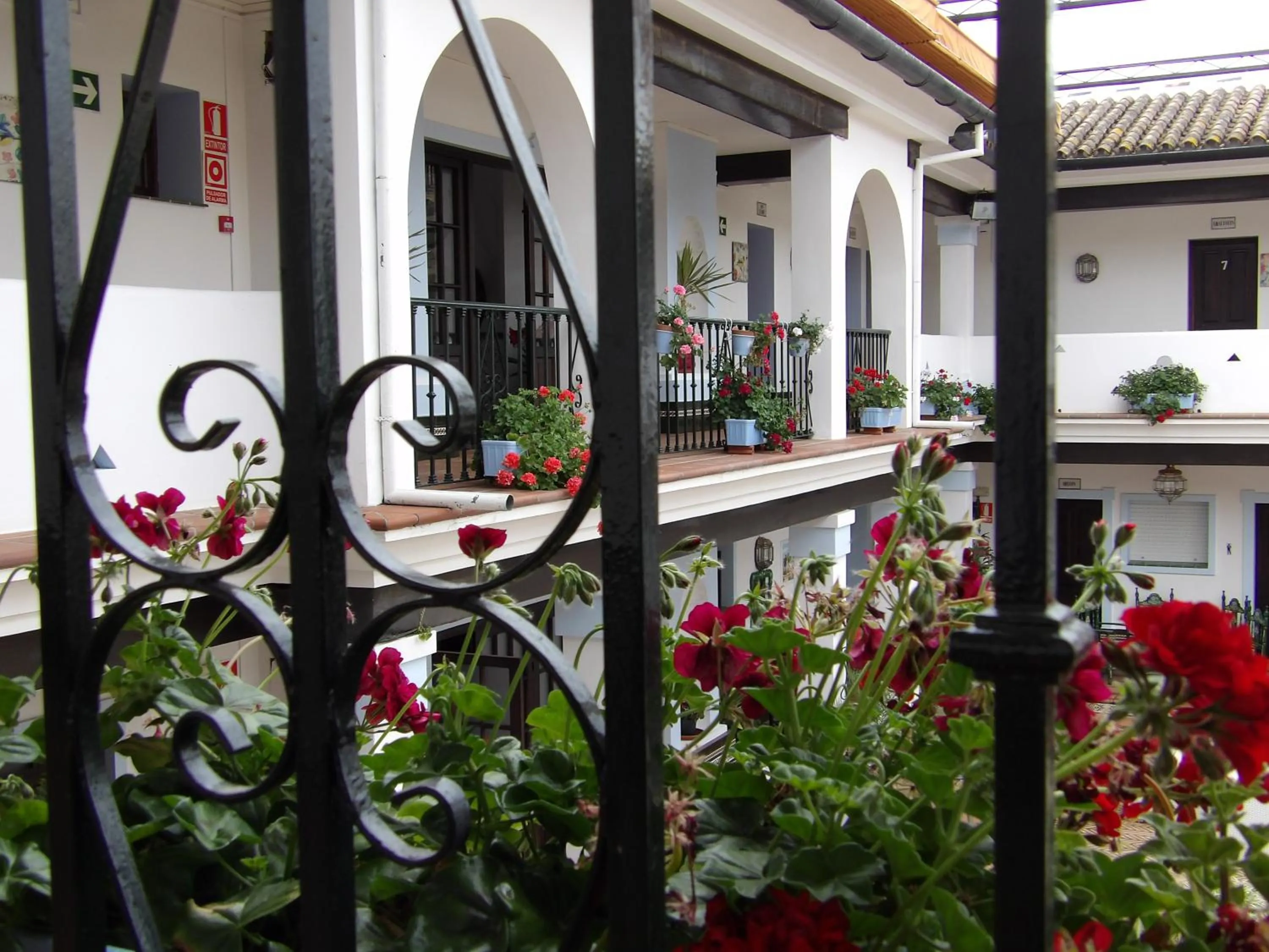 Decorative detail in Palacio Doñana , Rural & Luxury