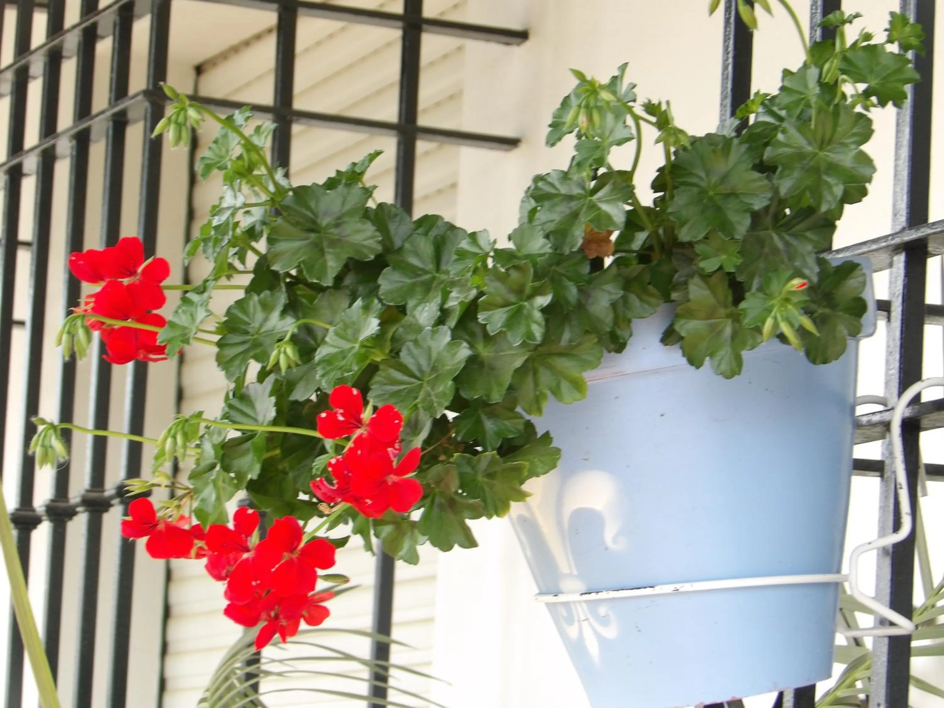 Decorative detail in Palacio Doñana , Rural & Luxury