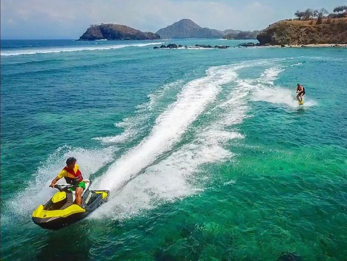 Activities in Whales and Waves