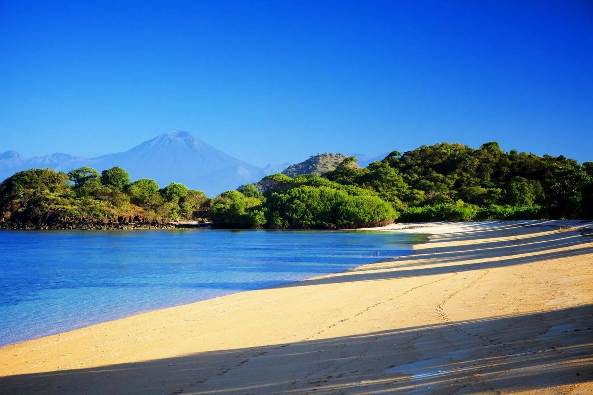 Day in Whales and Waves