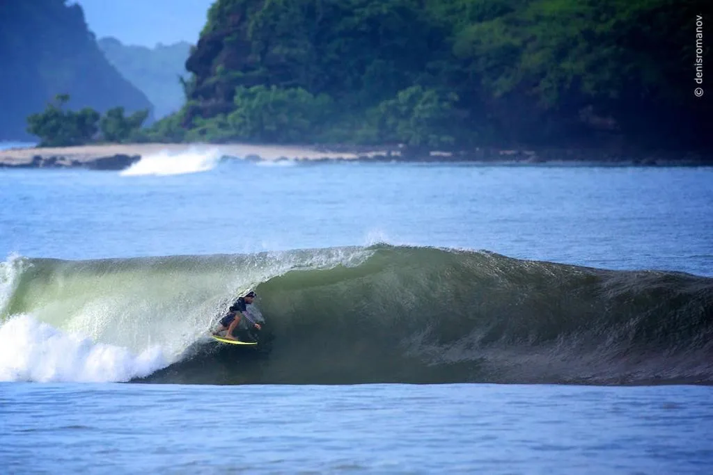 Day in Whales and Waves