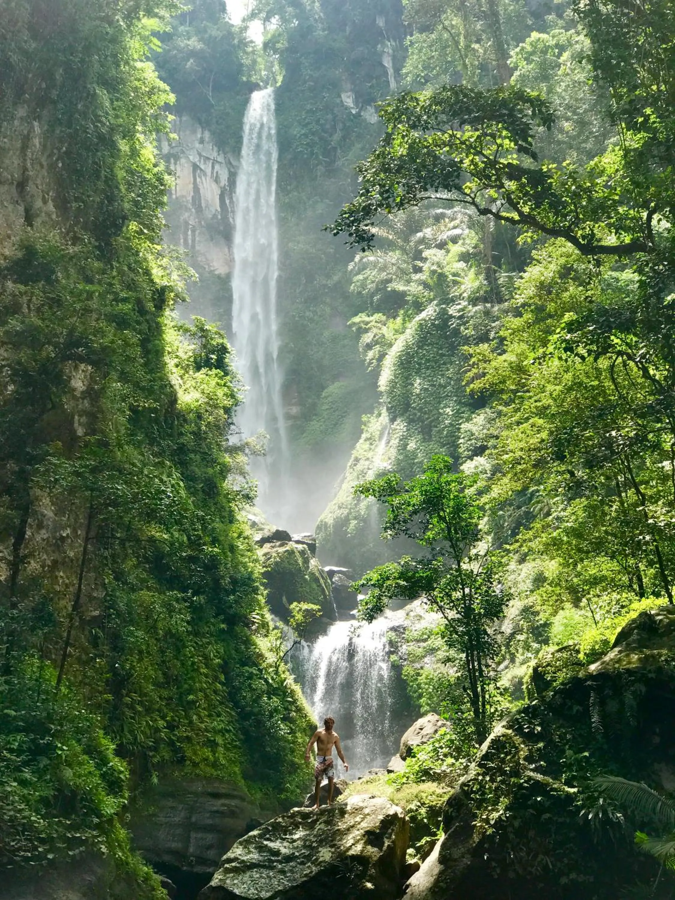 Natural landscape in Whales and Waves