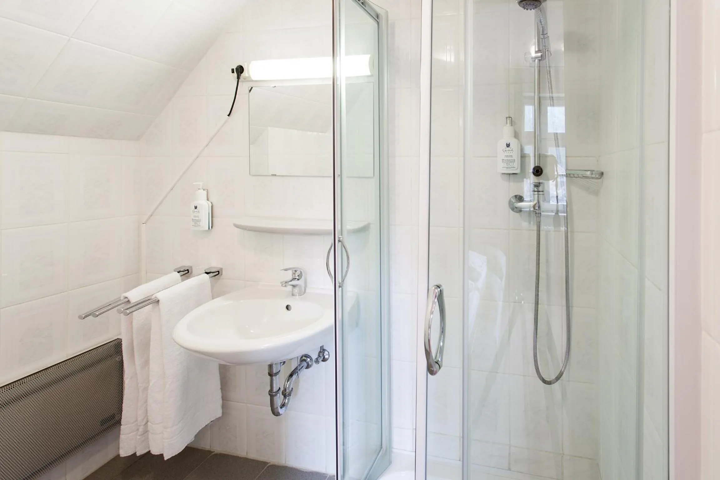 Bathroom in Hotel Alter Wolf