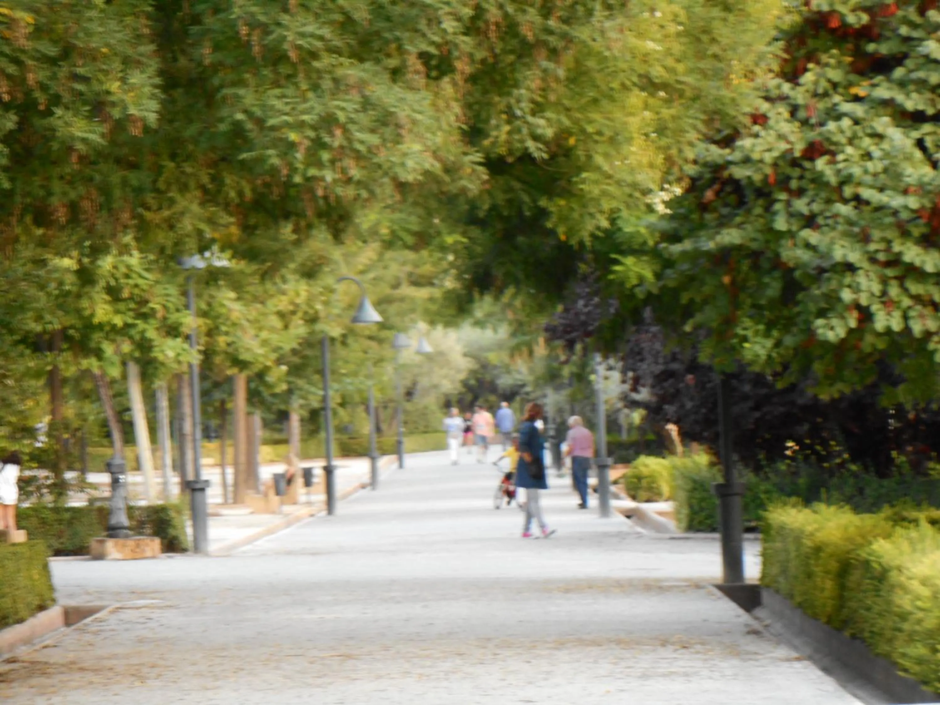 Children play ground in Martin House & Granada