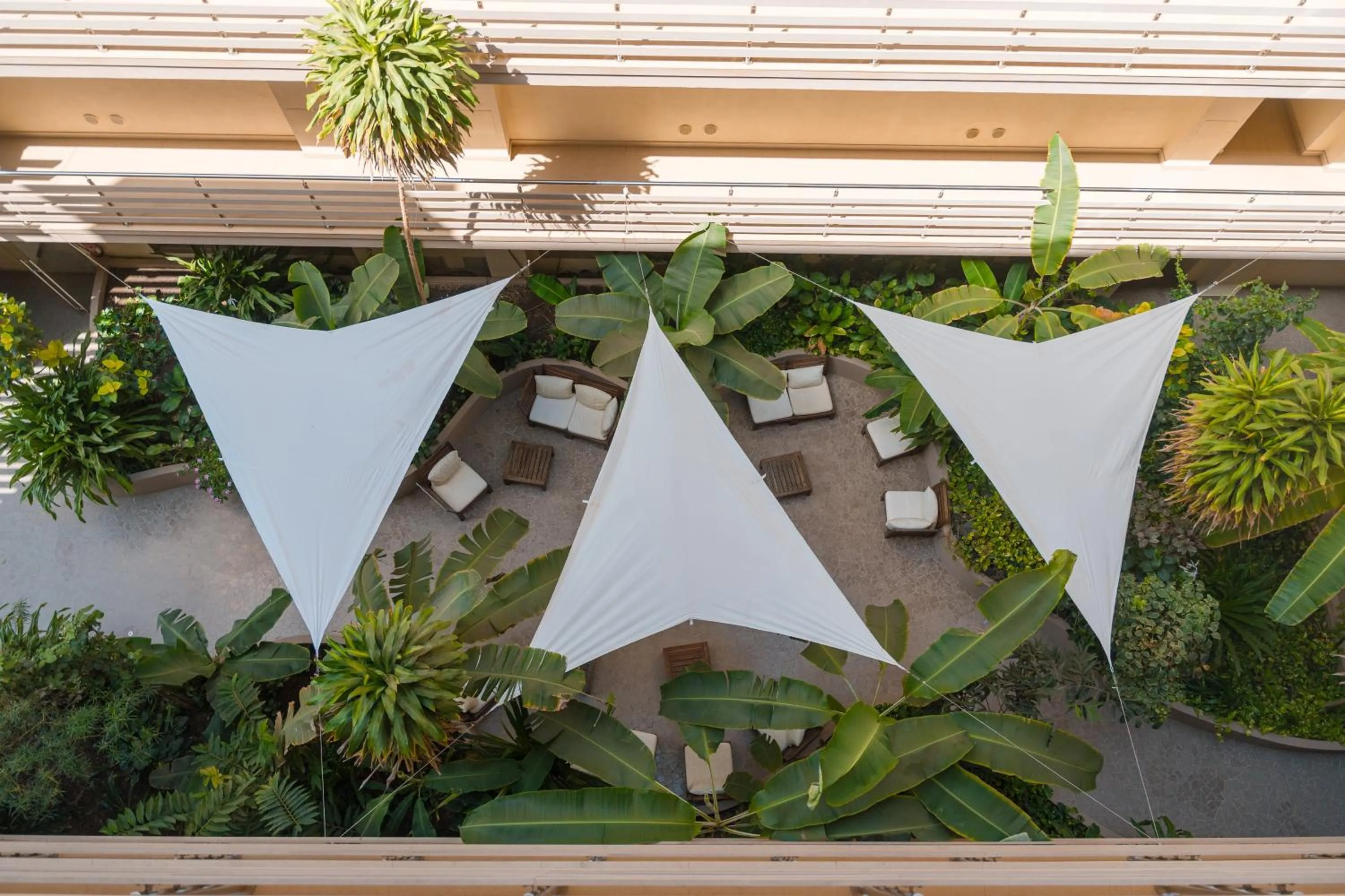 Garden view in Las Rochas