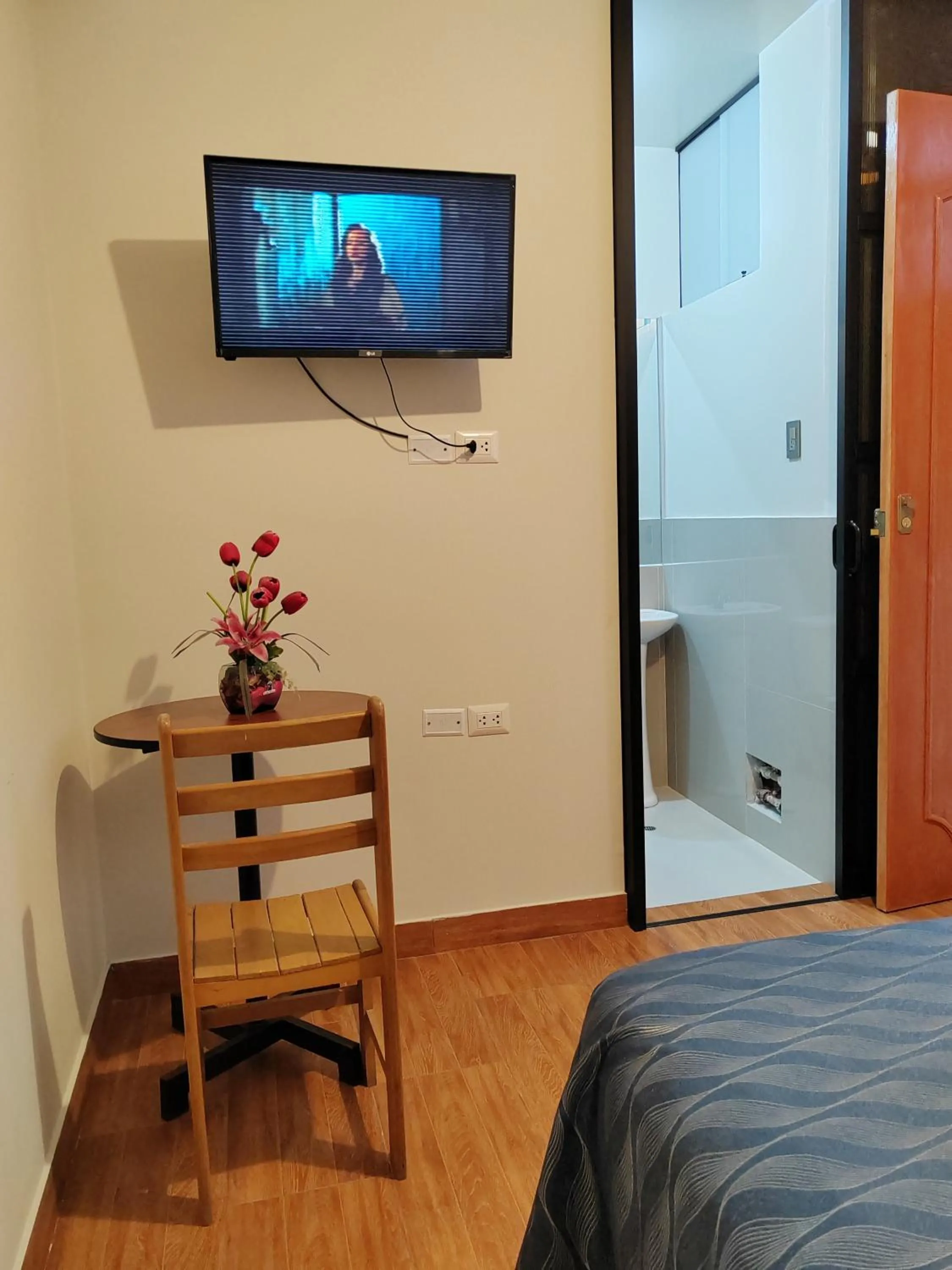 TV and multimedia, Bed in Hostal Bryan