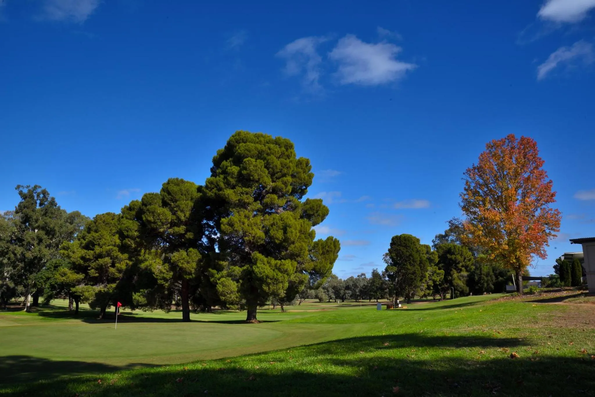 Golfcourse in Renmark Country Club