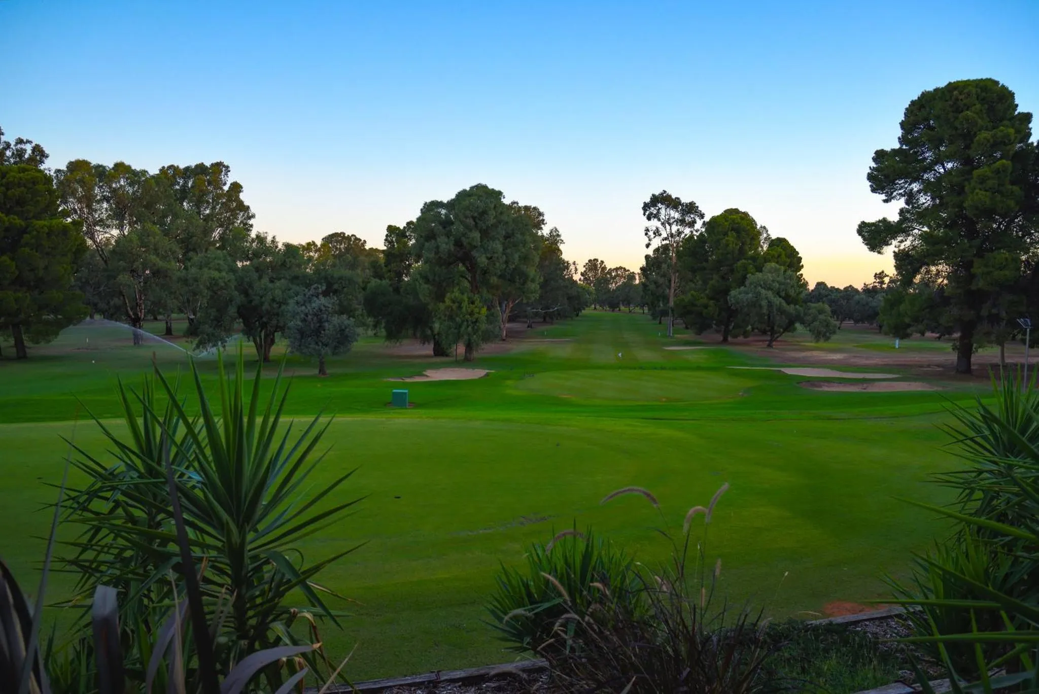 Golfcourse in Renmark Country Club