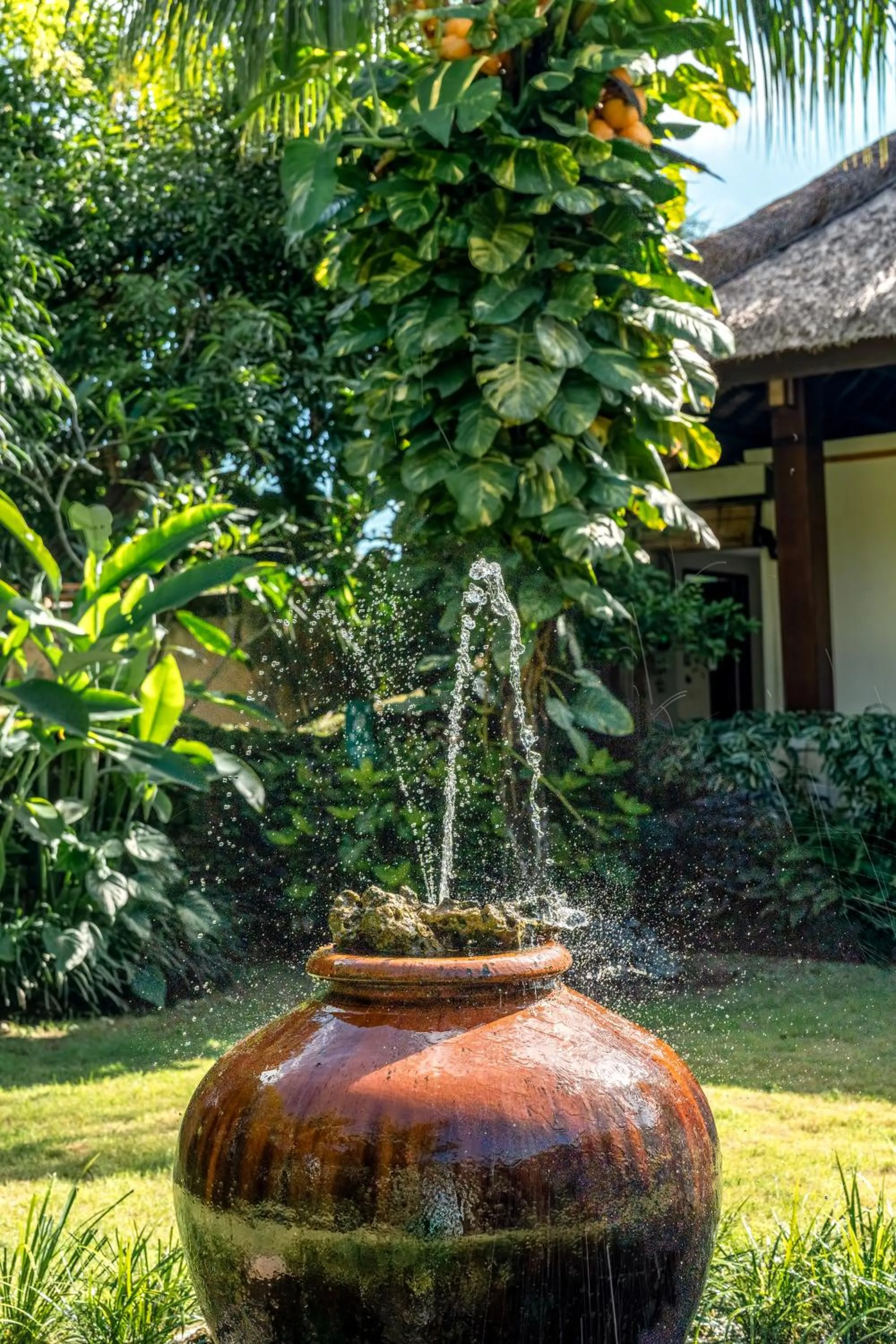 Garden in Radha Phala Resort & Spa