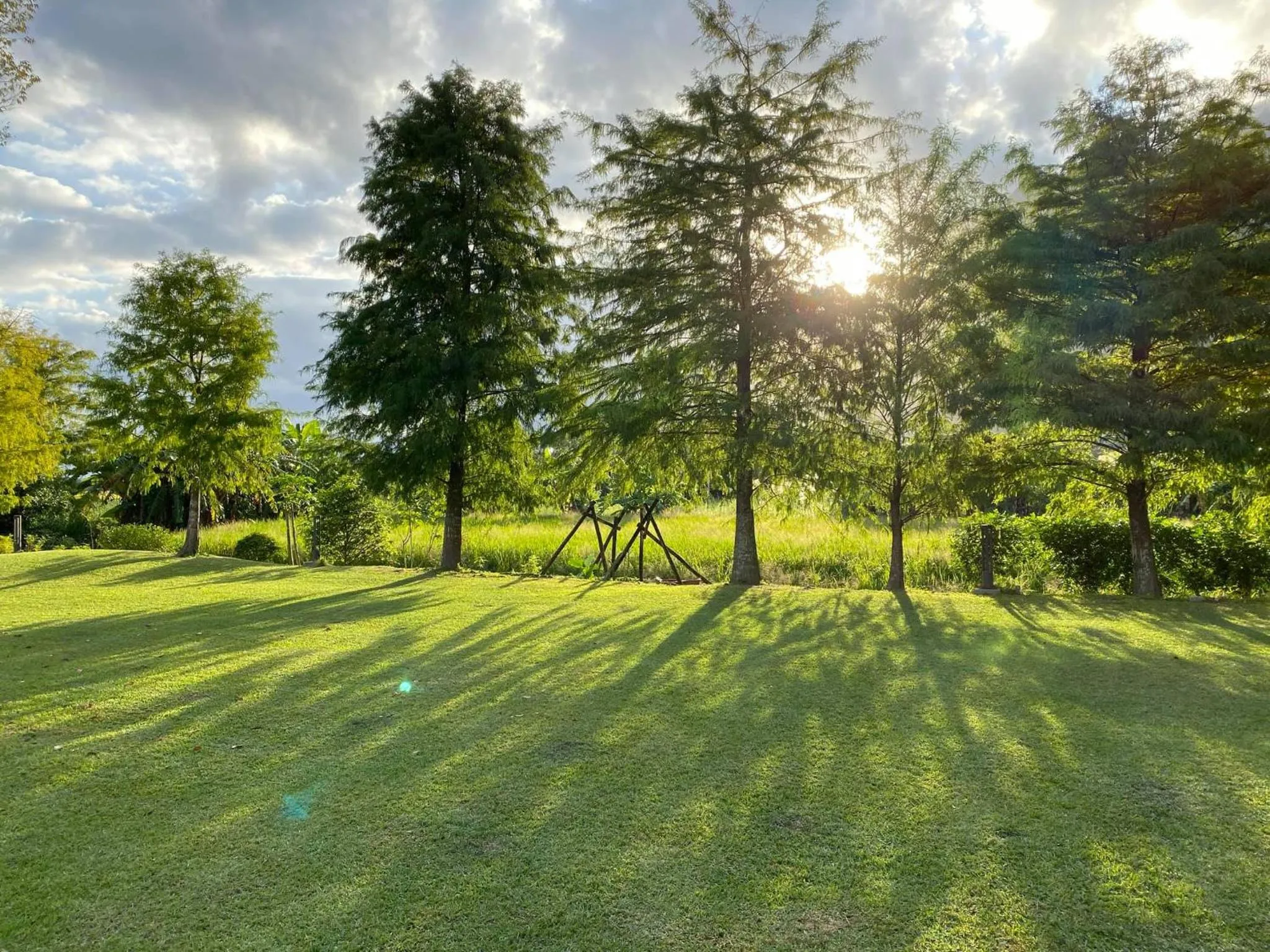 Garden view in Simple Life B&B