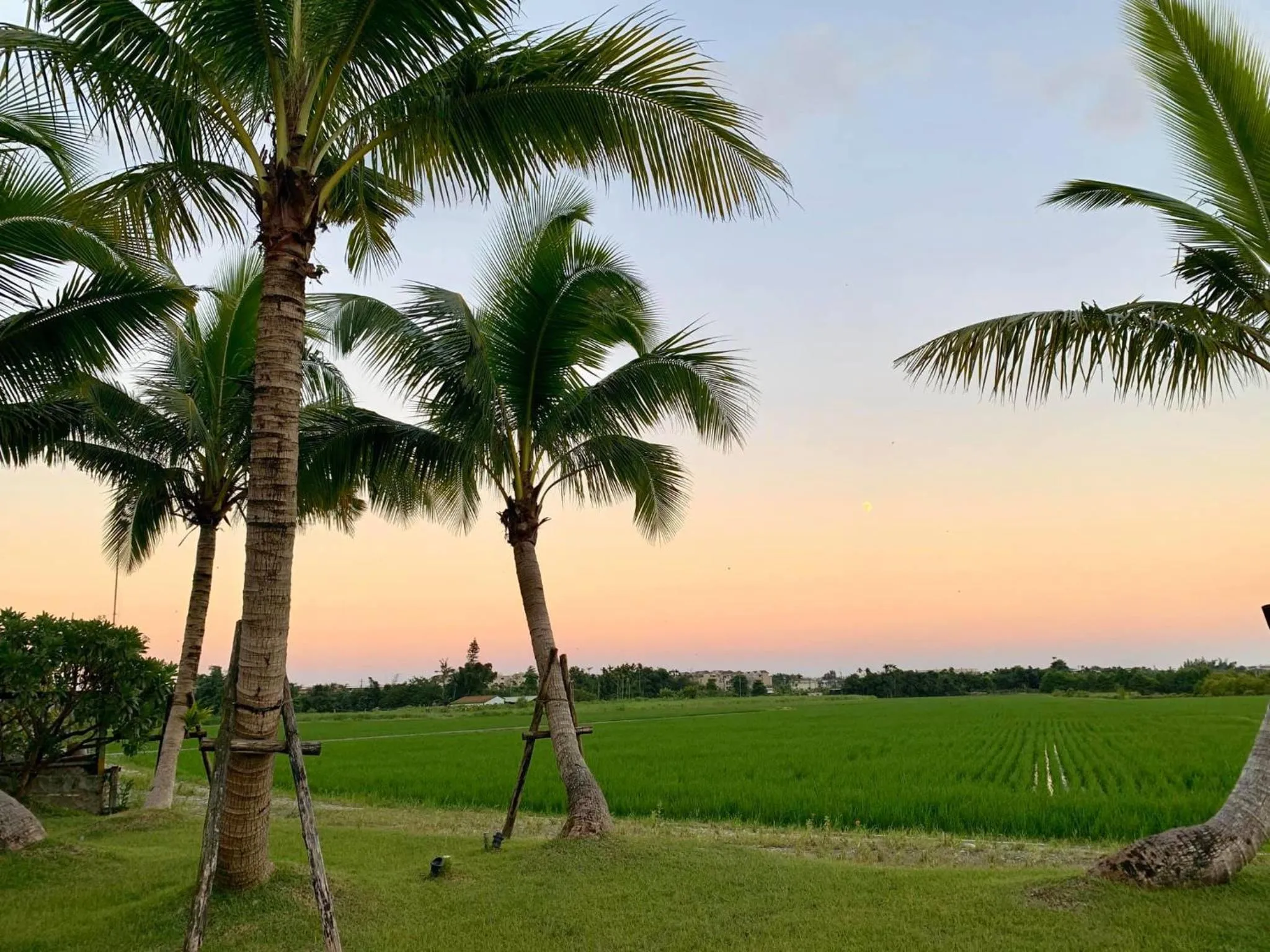 Garden view in Simple Life B&B