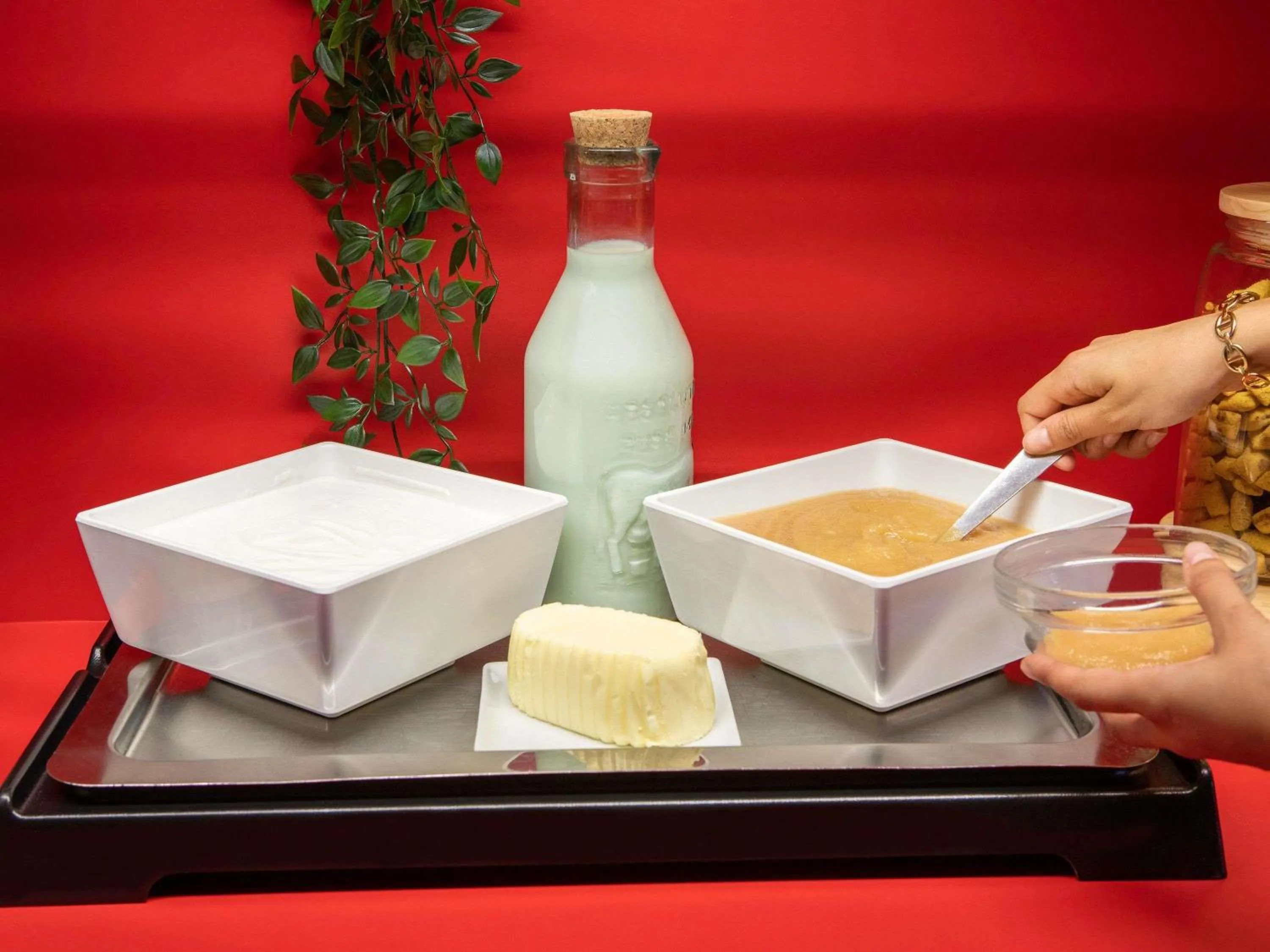 Other in hotelF1 Paris Porte de Châtillon