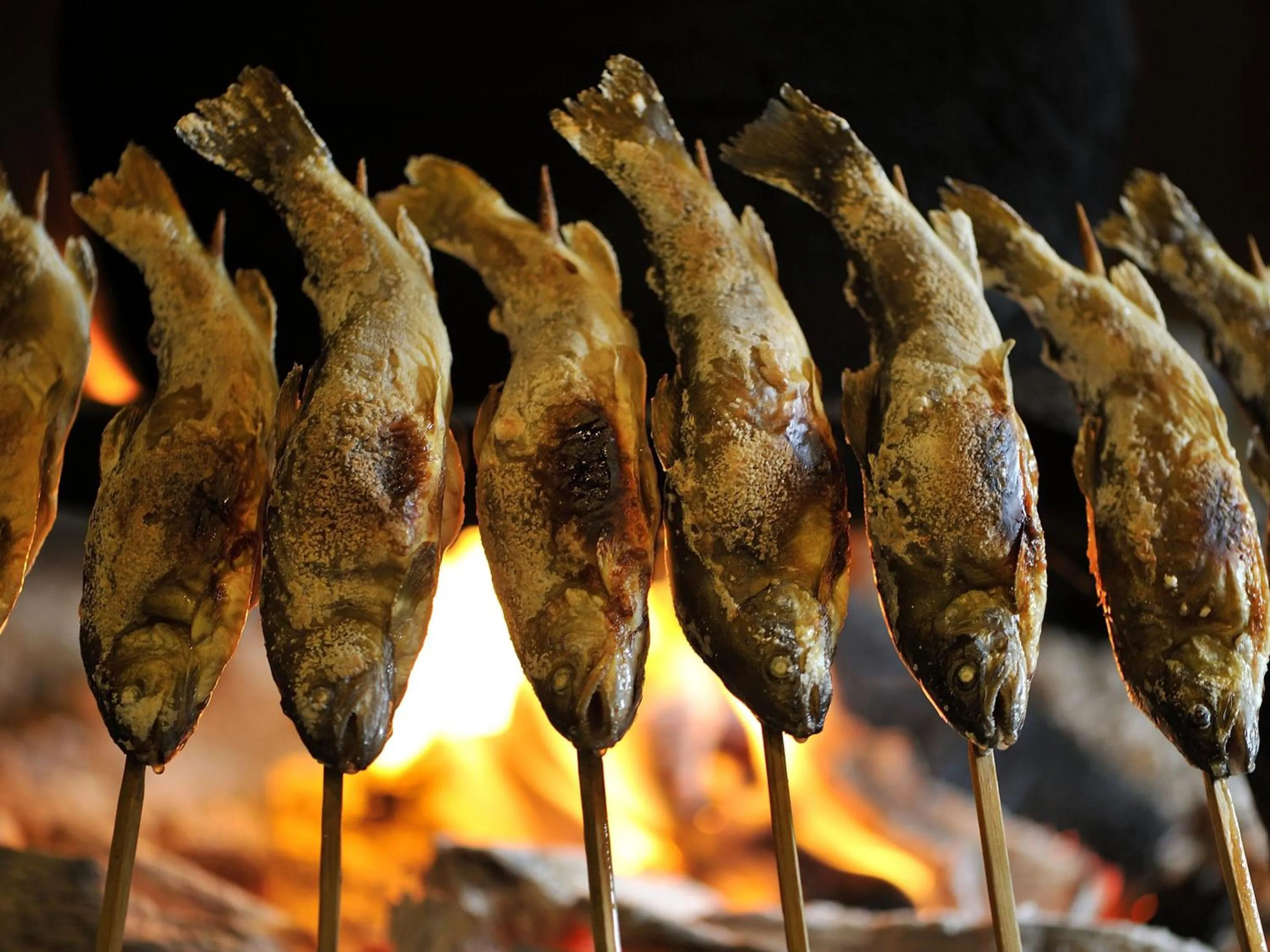 Activities in Urabandai Lake Resort Goshiki no Mori