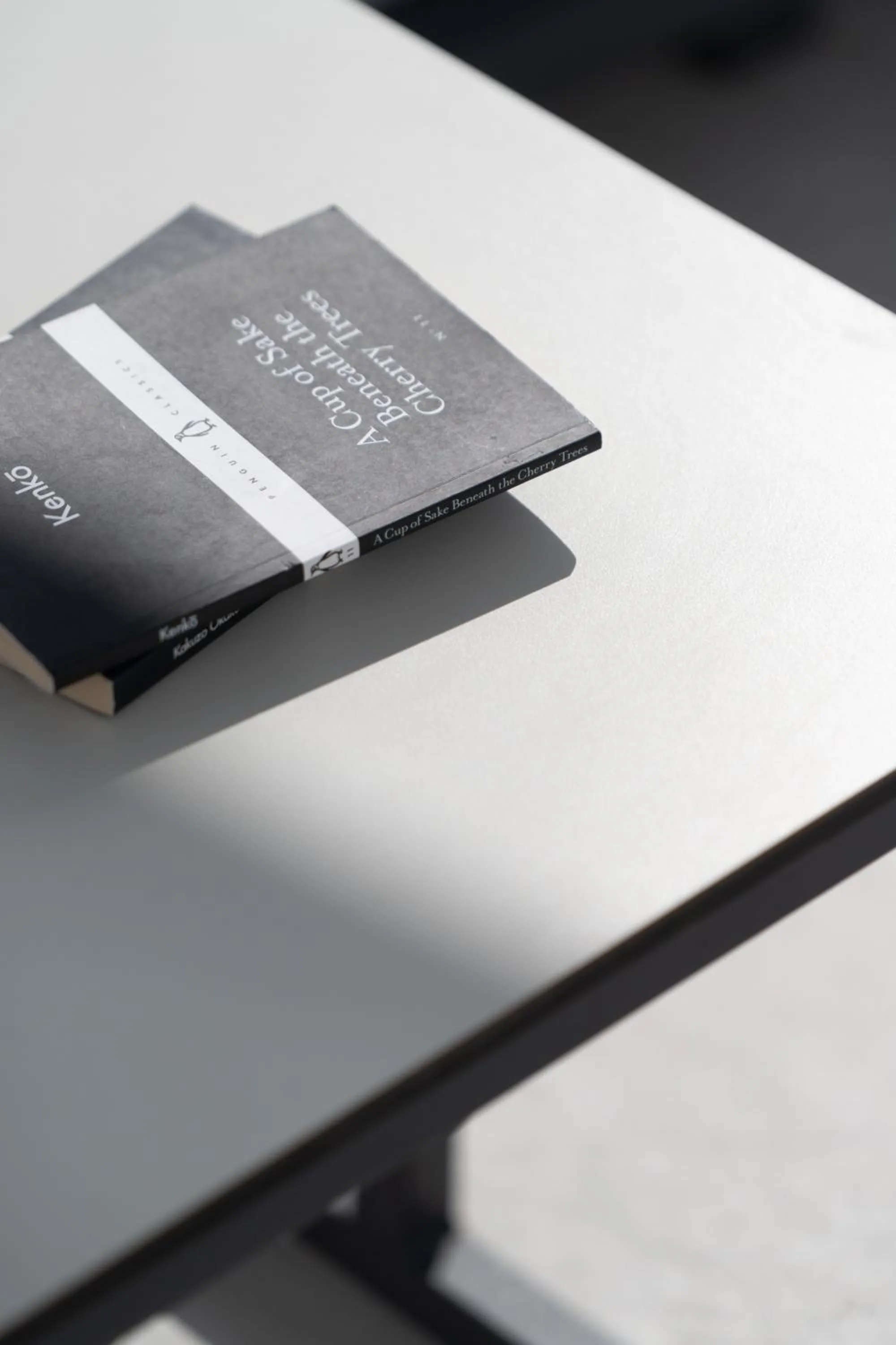 Decorative detail in White Concept Caves