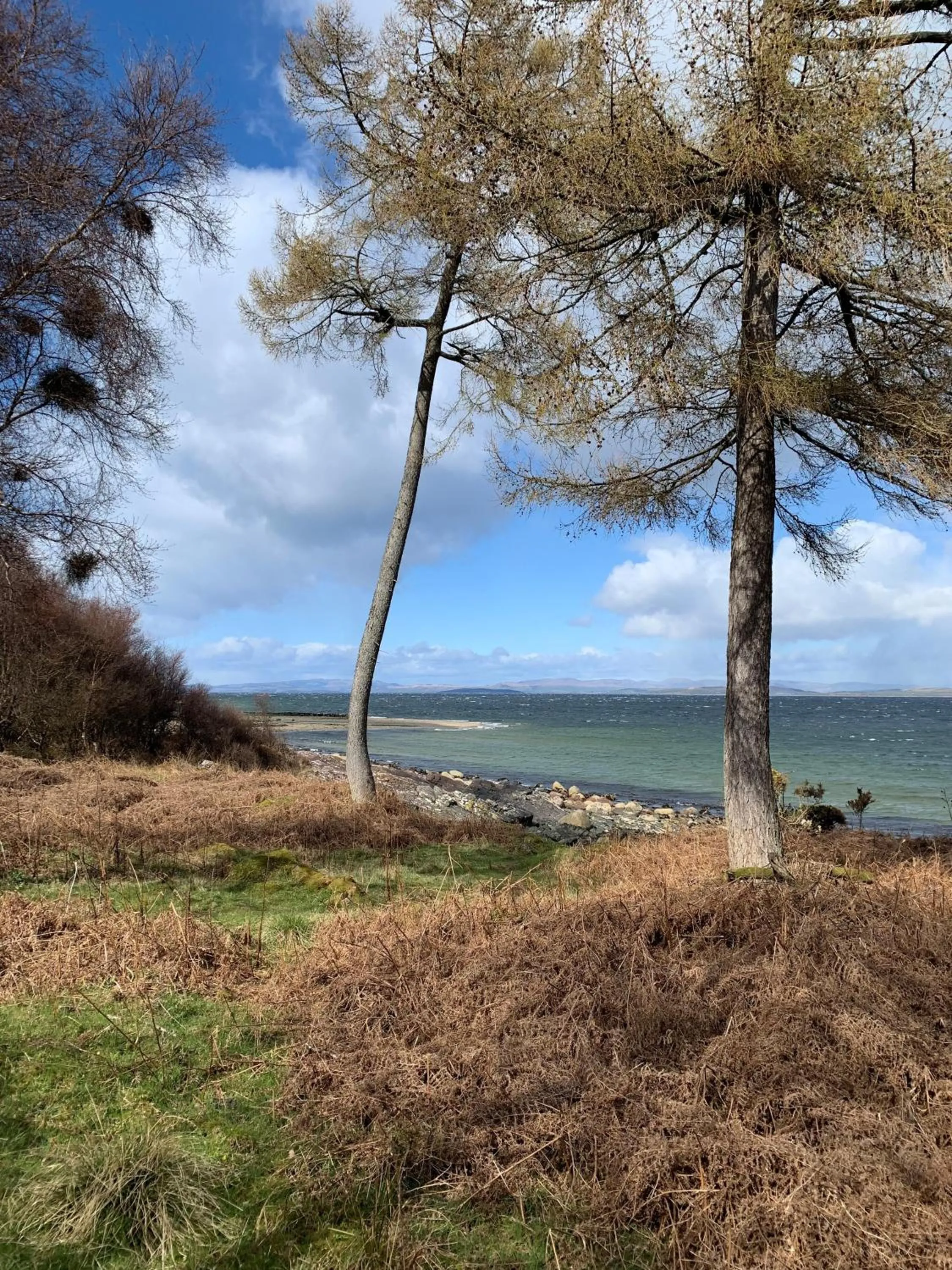 Natural landscape in The Corrie Hotel